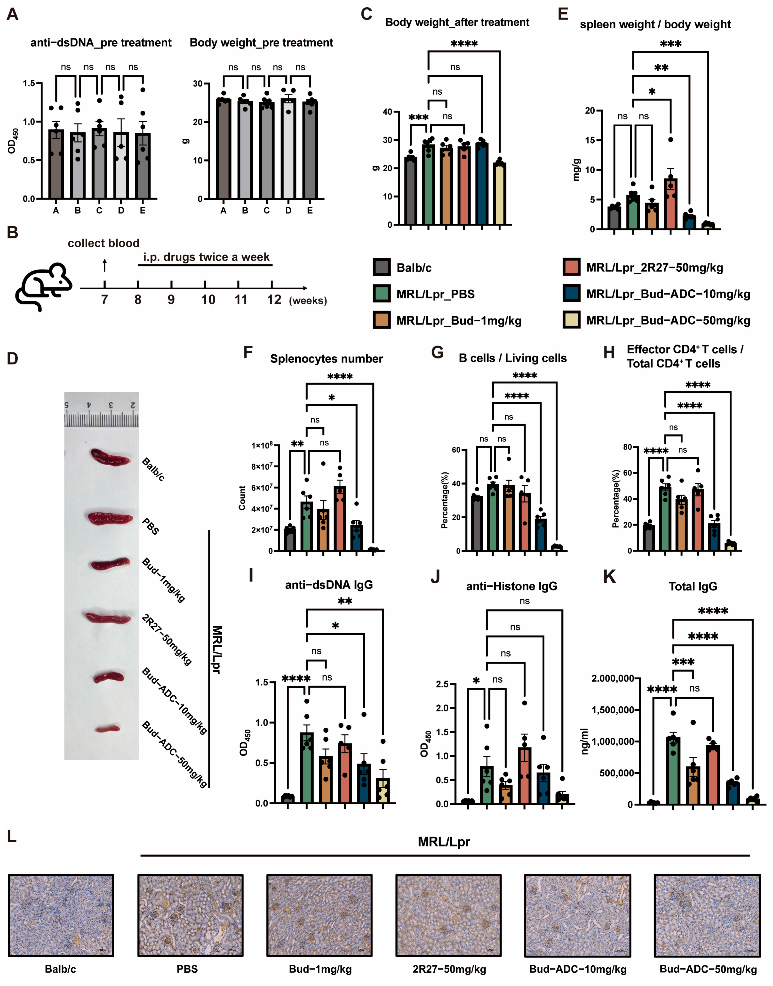 Ijms 26 11761 g005 Ijms 26 11761 g005