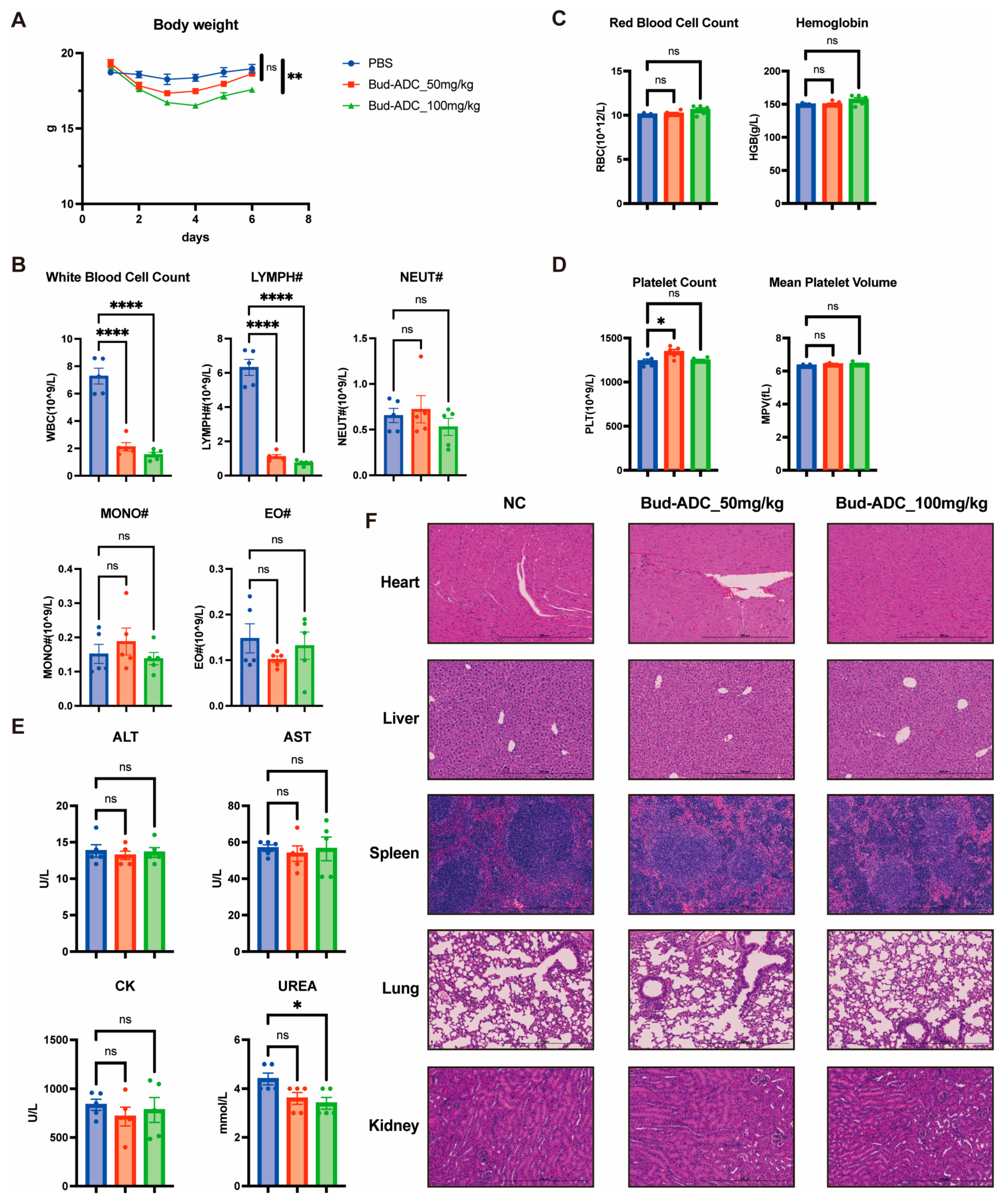 Ijms 26 11761 g007 Ijms 26 11761 g007