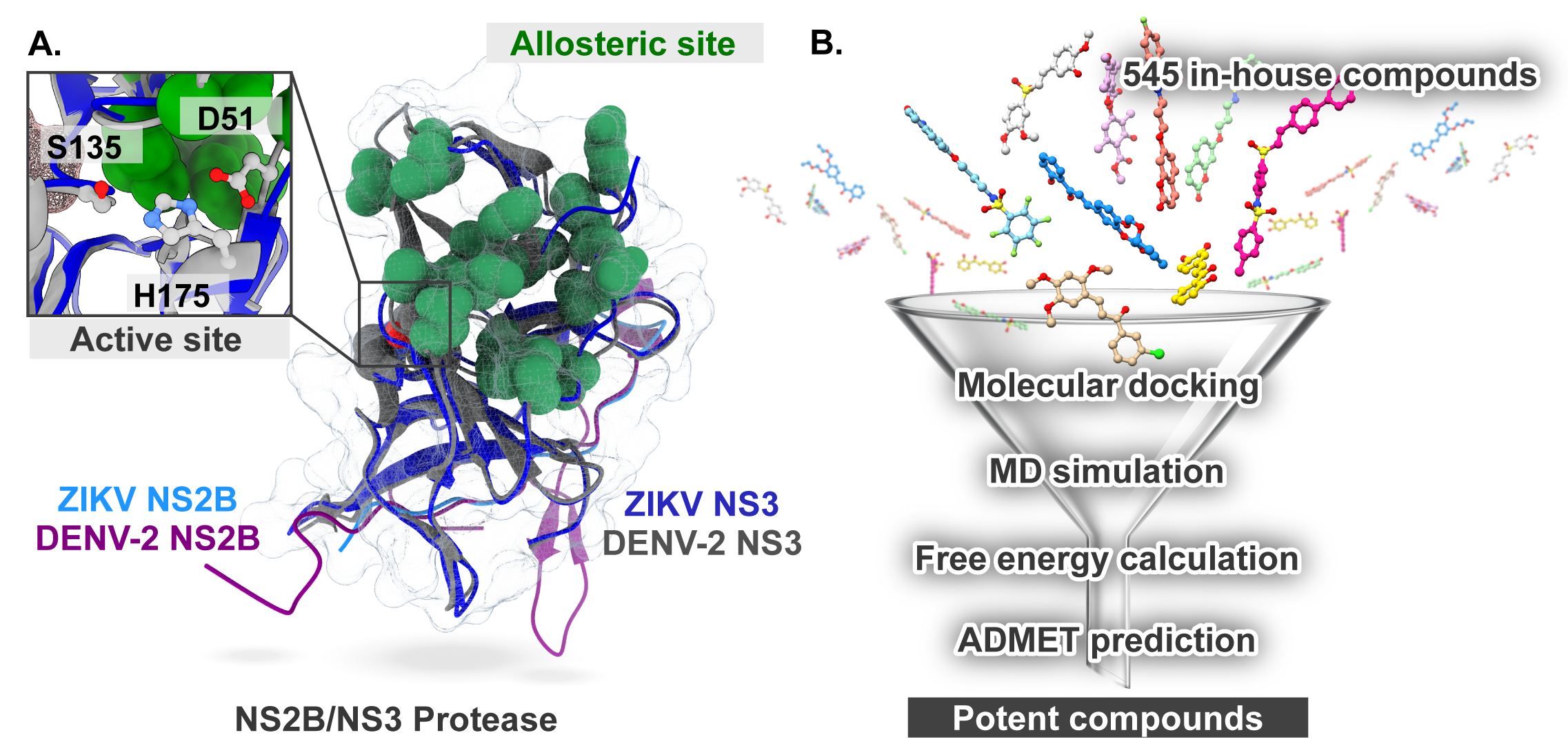 Ijms 26 11762 g001 Ijms 26 11762 g001