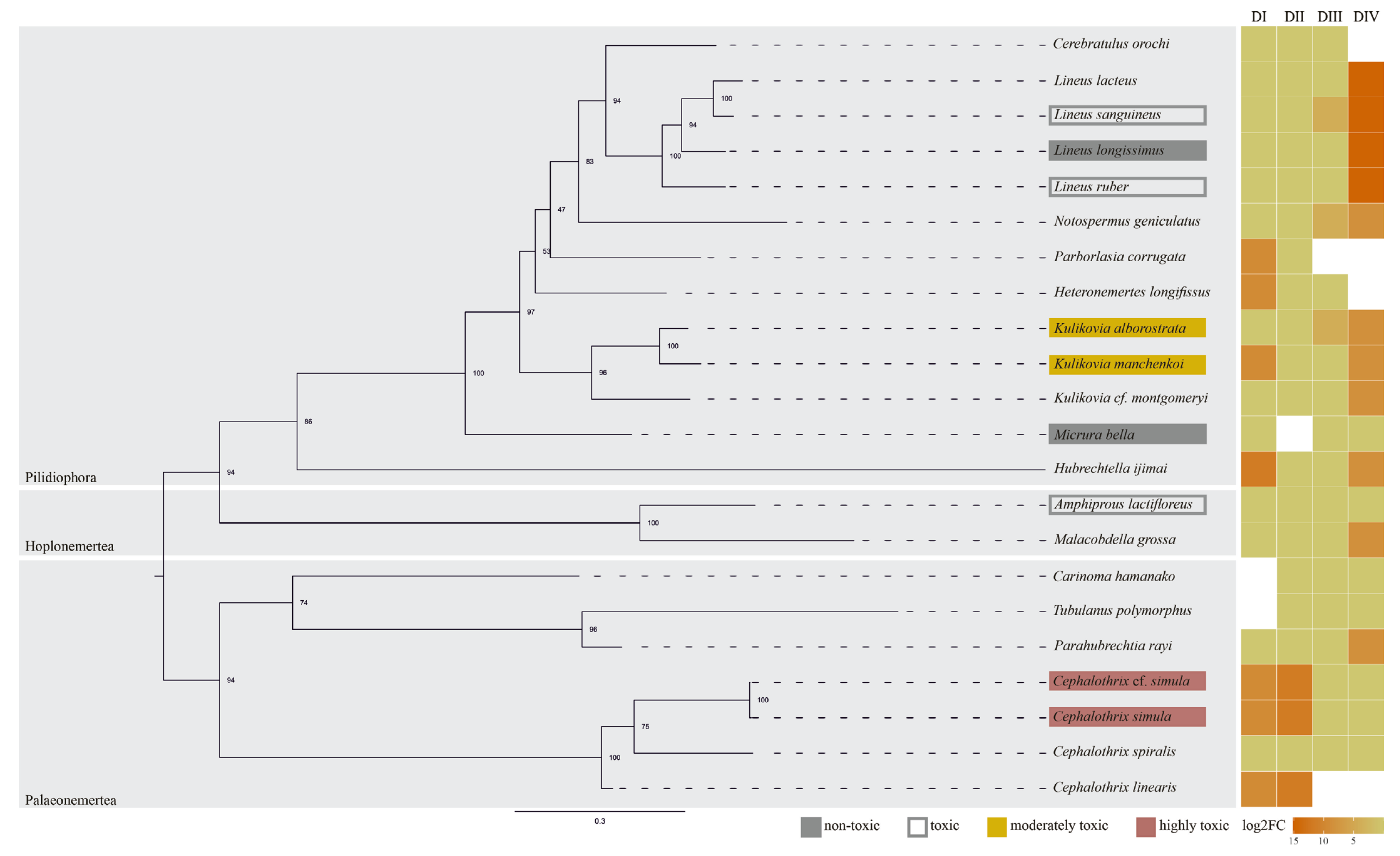 Ijms 26 11785 g002 Ijms 26 11785 g002