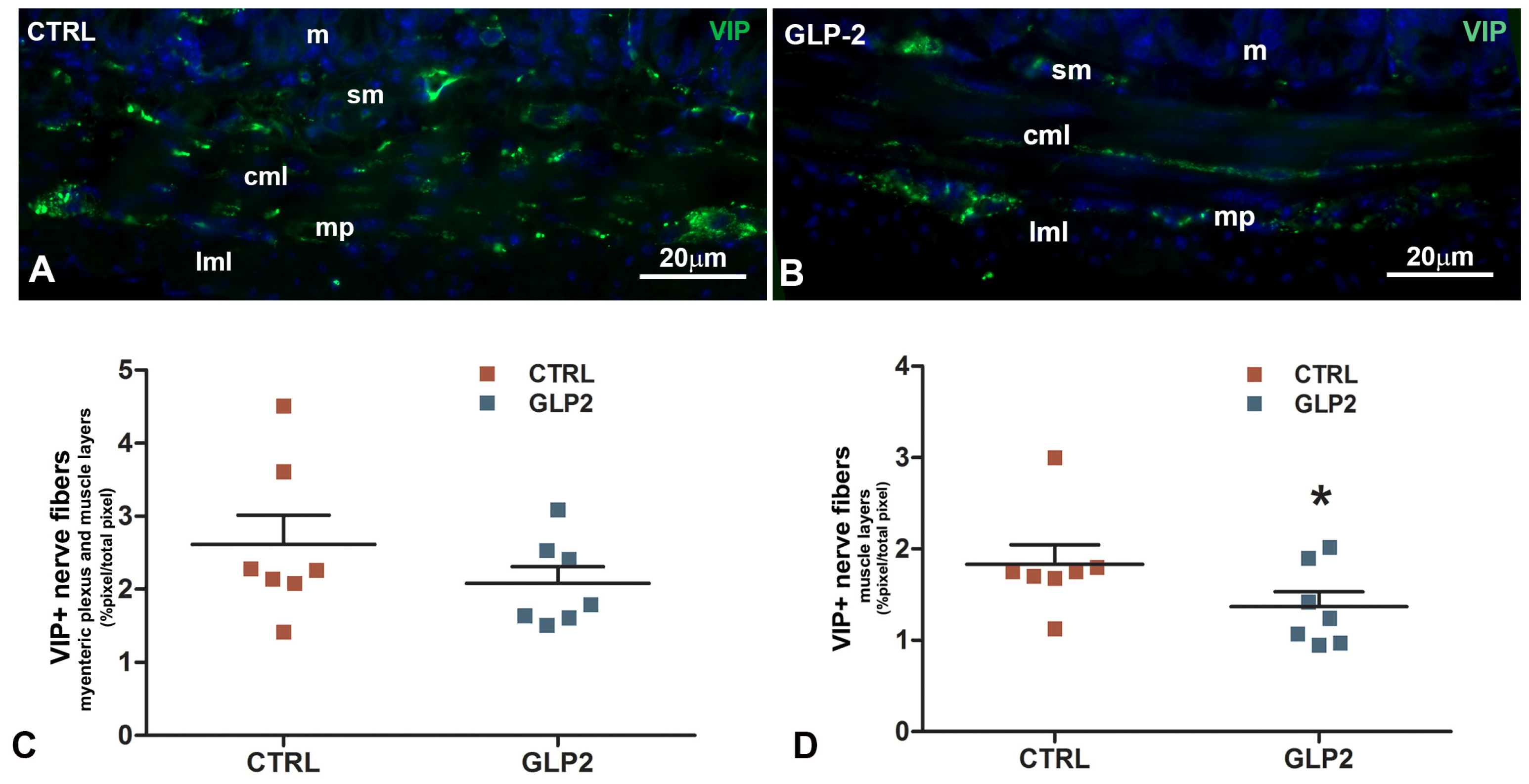Ijms 26 11797 g003 Ijms 26 11797 g003