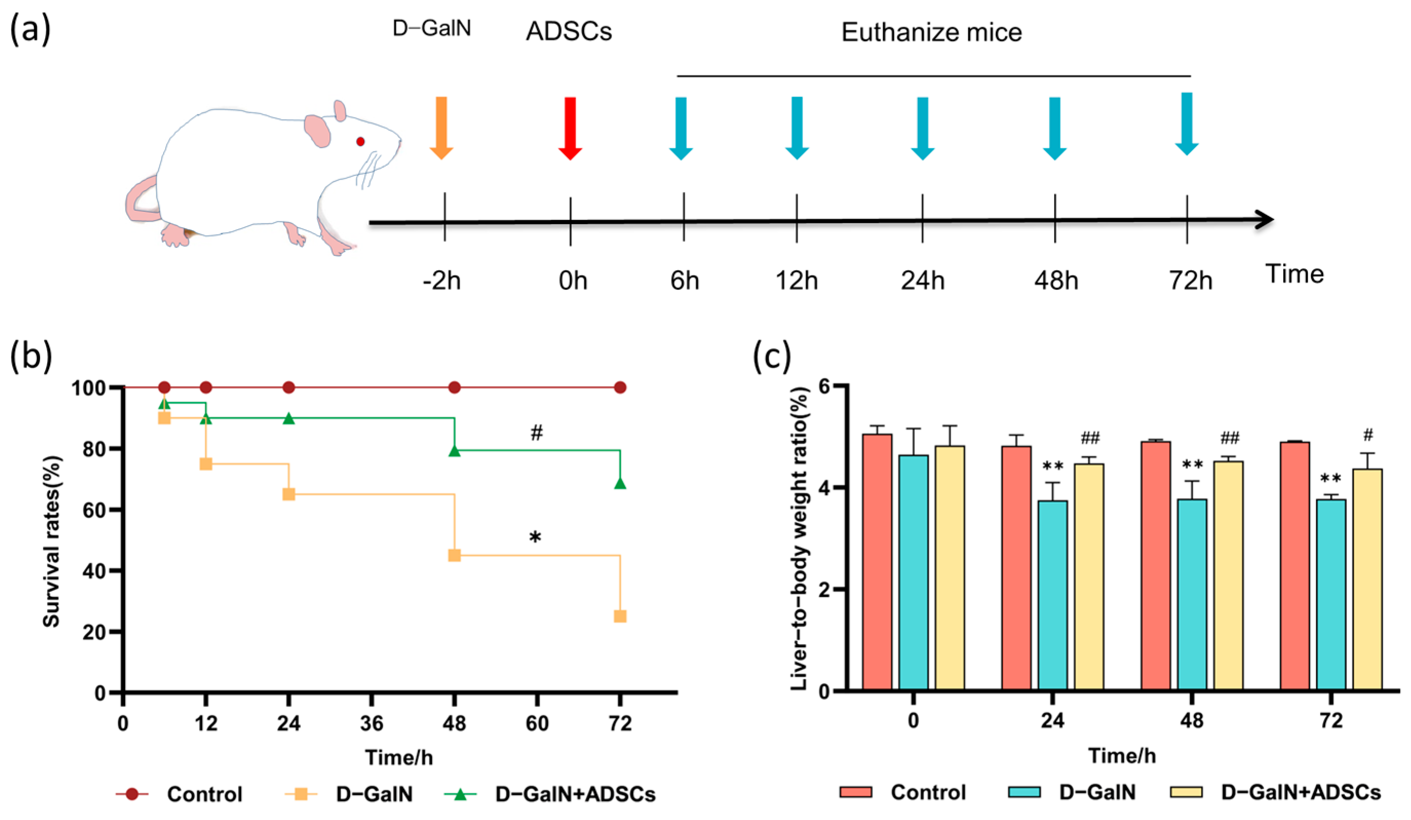 Ijms 26 11798 g003 Ijms 26 11798 g003