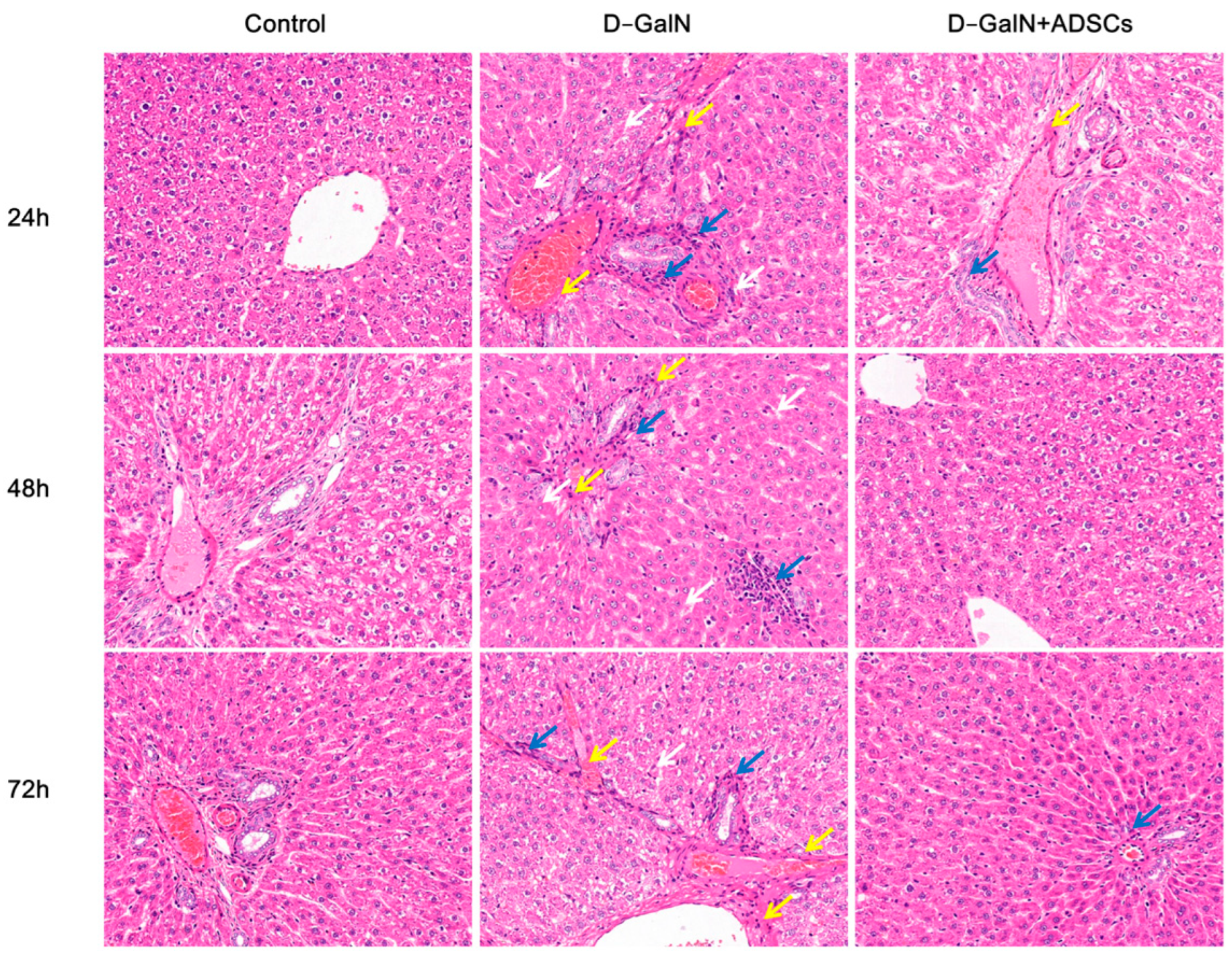 Ijms 26 11798 g004 Ijms 26 11798 g004