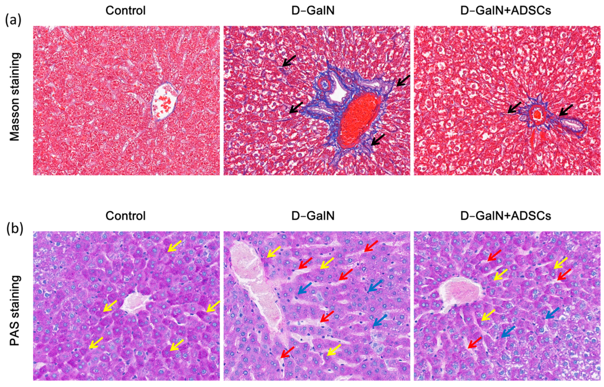 Ijms 26 11798 g005a Ijms 26 11798 g005a