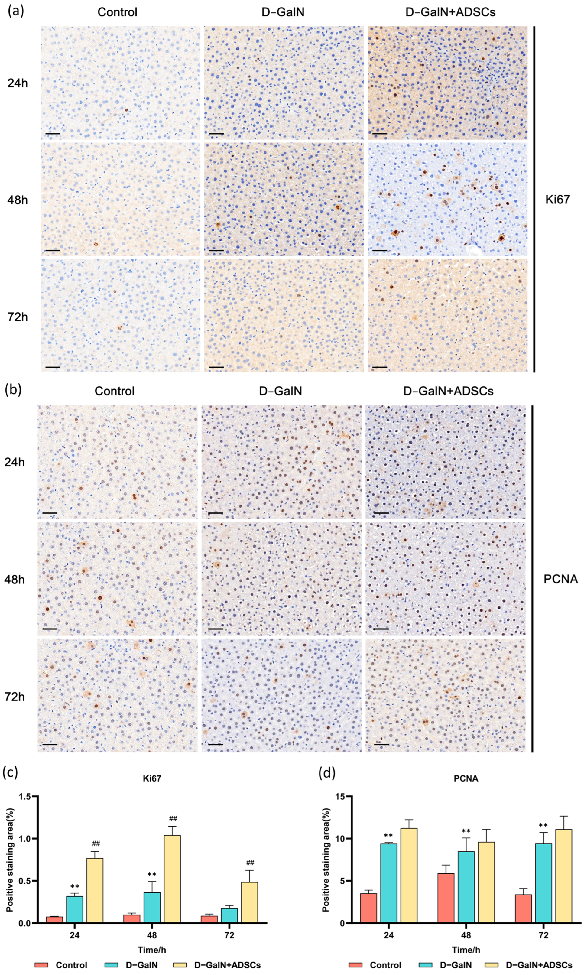 Ijms 26 11798 g009 Ijms 26 11798 g009