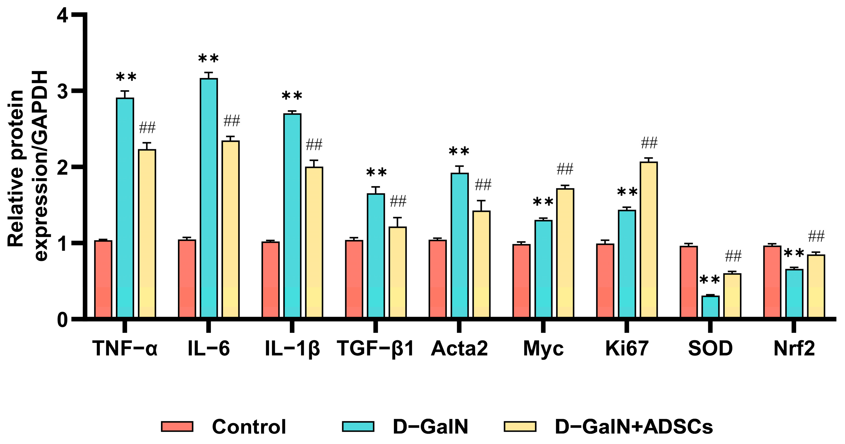 Ijms 26 11798 g011 Ijms 26 11798 g011