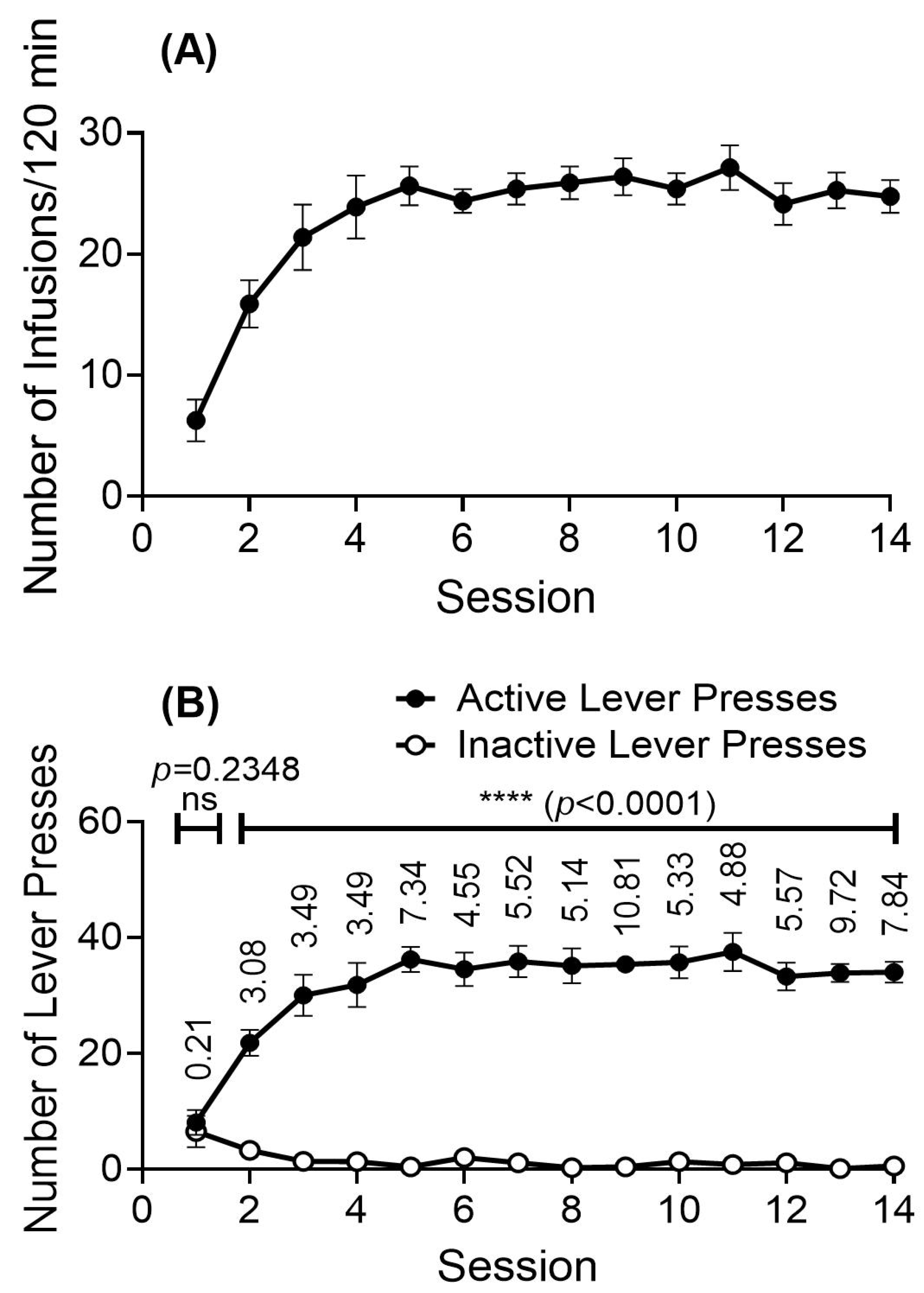 Ijms 26 11806 g004 Ijms 26 11806 g004