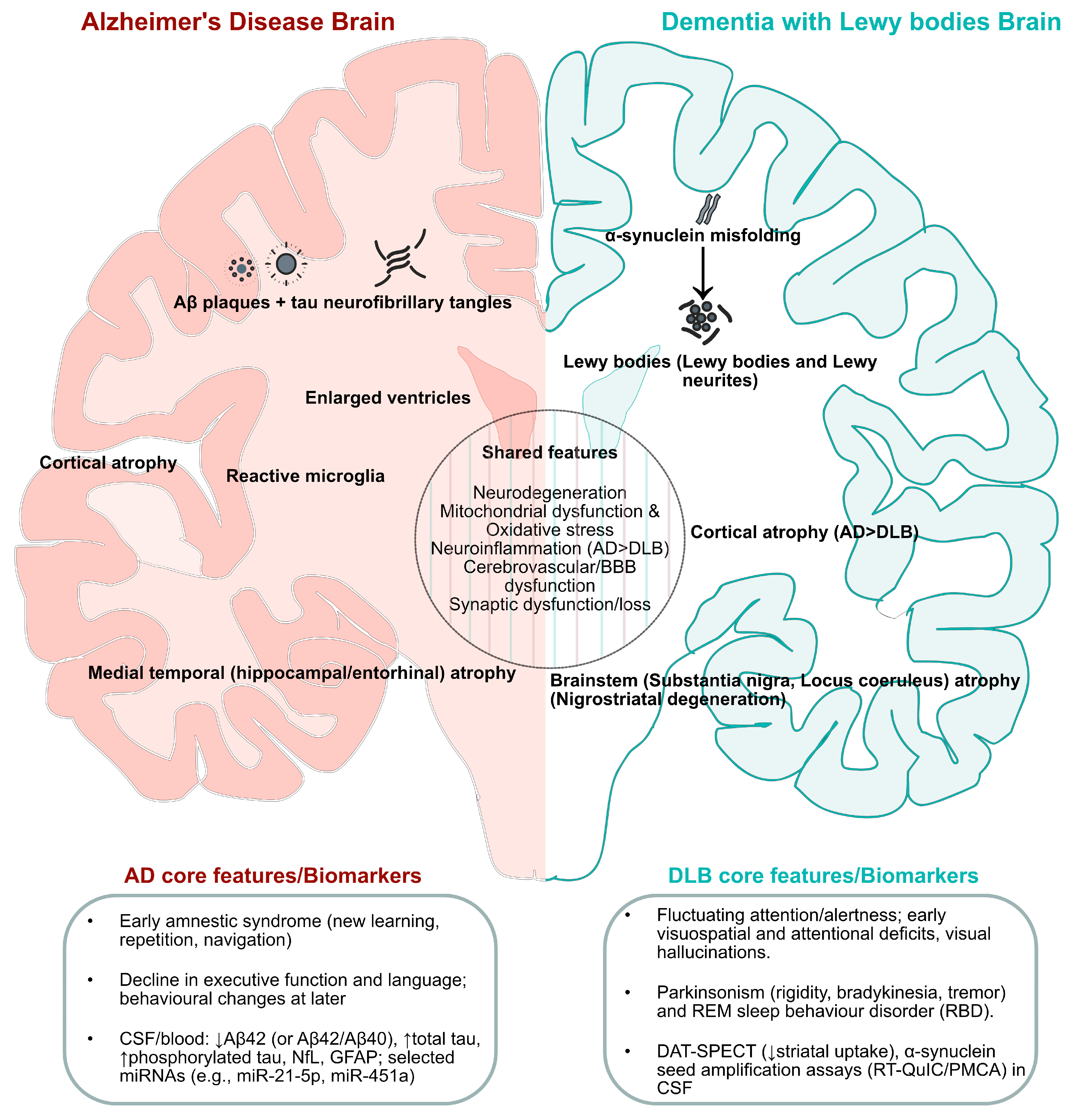 Ijms 26 11811 g001 Ijms 26 11811 g001