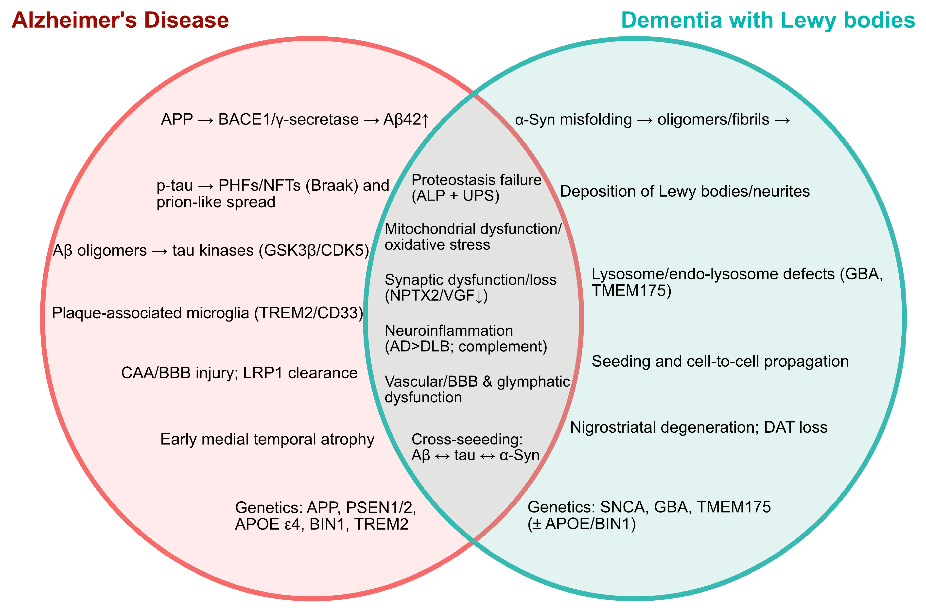 Ijms 26 11811 g002 Ijms 26 11811 g002
