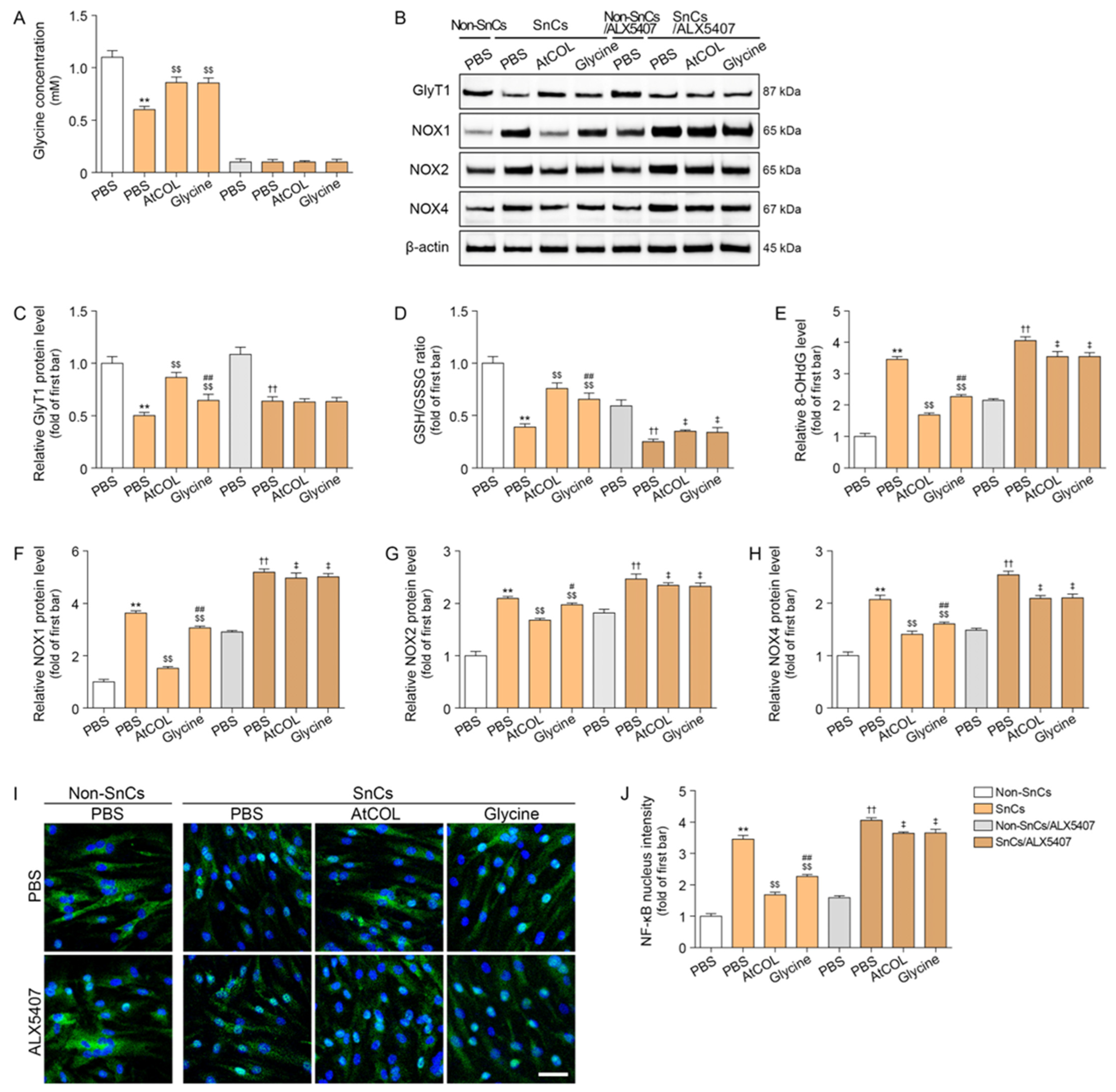 Ijms 26 11825 g001 Ijms 26 11825 g001