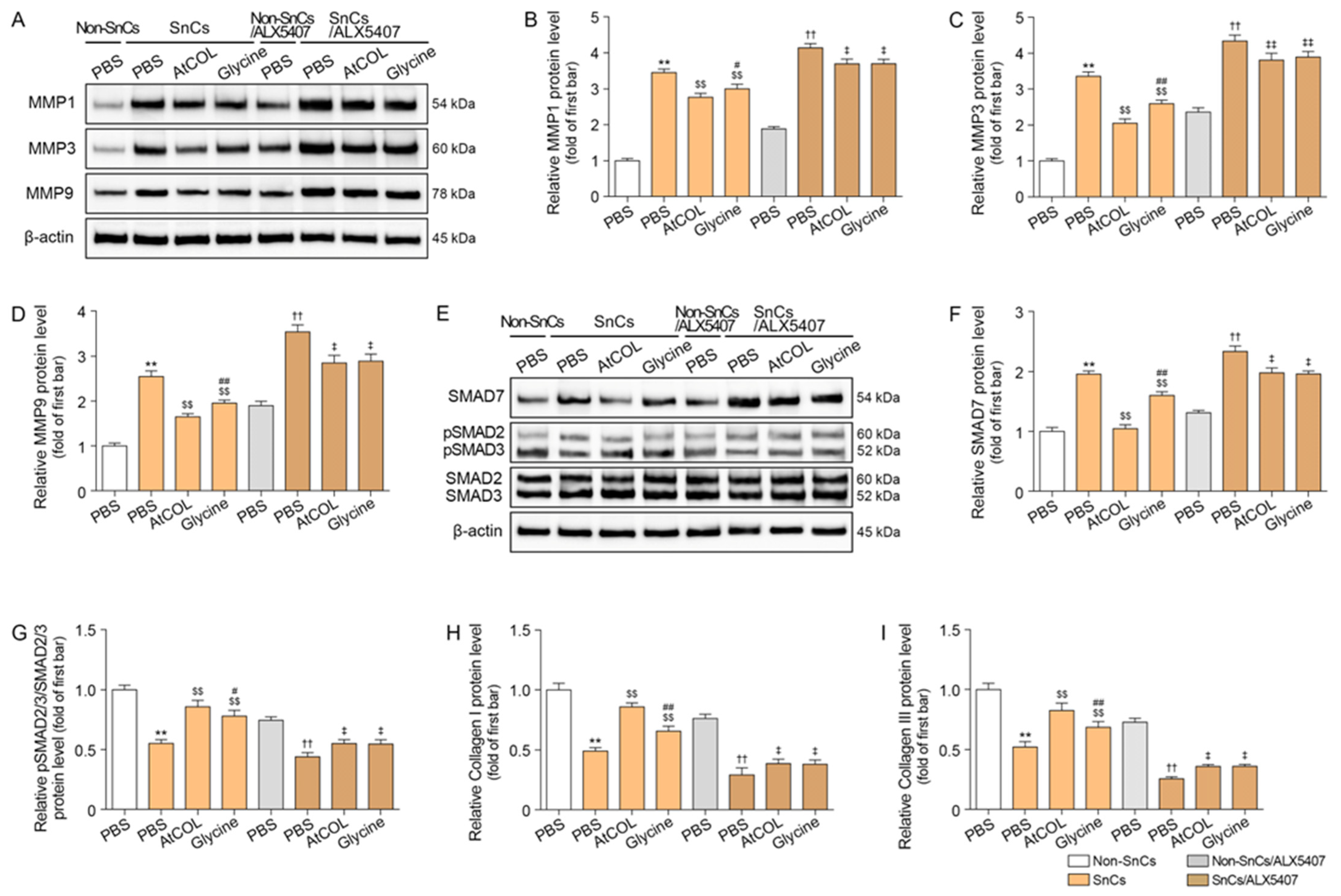 Ijms 26 11825 g002 Ijms 26 11825 g002