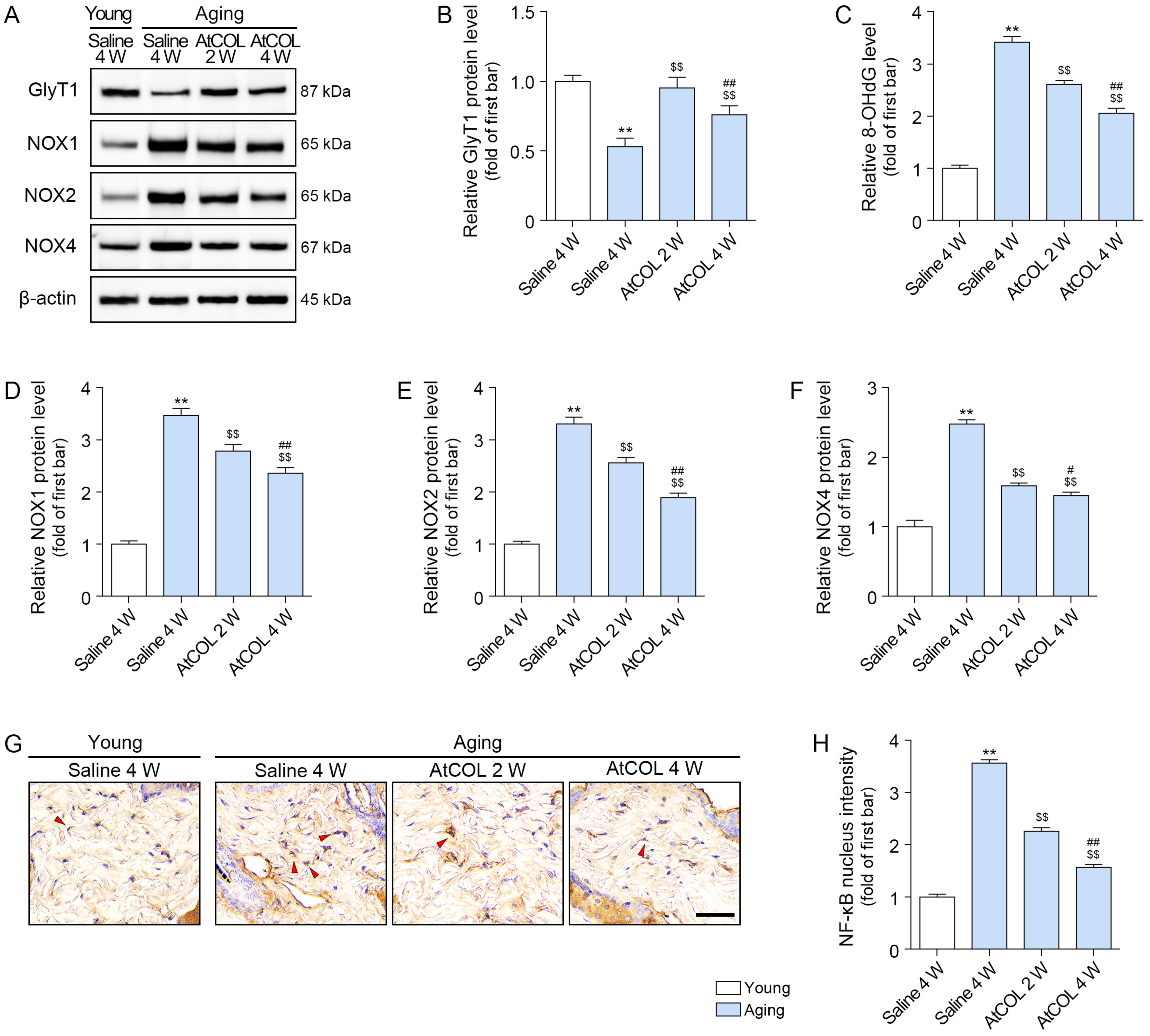 Ijms 26 11825 g003 Ijms 26 11825 g003