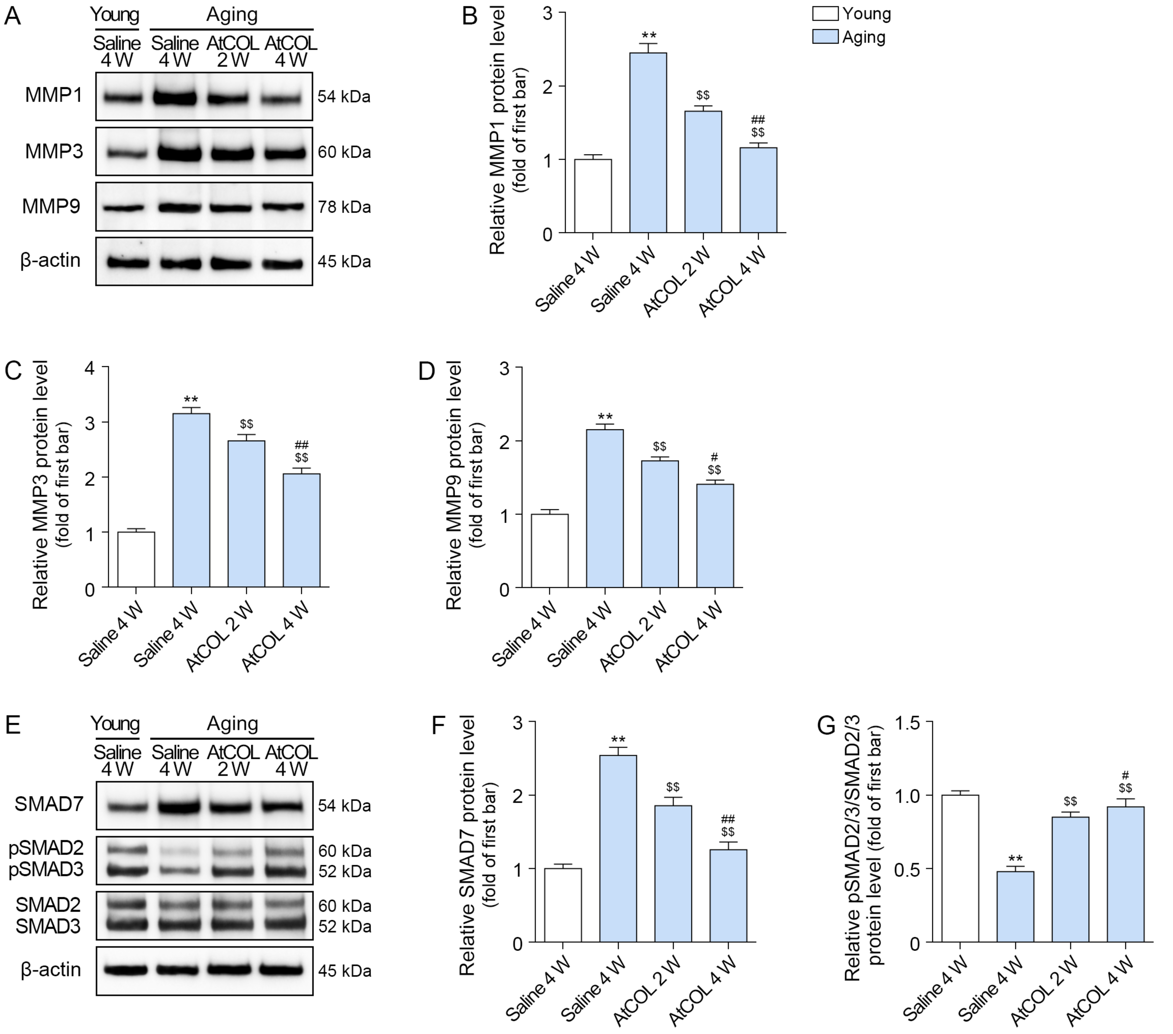 Ijms 26 11825 g004 Ijms 26 11825 g004