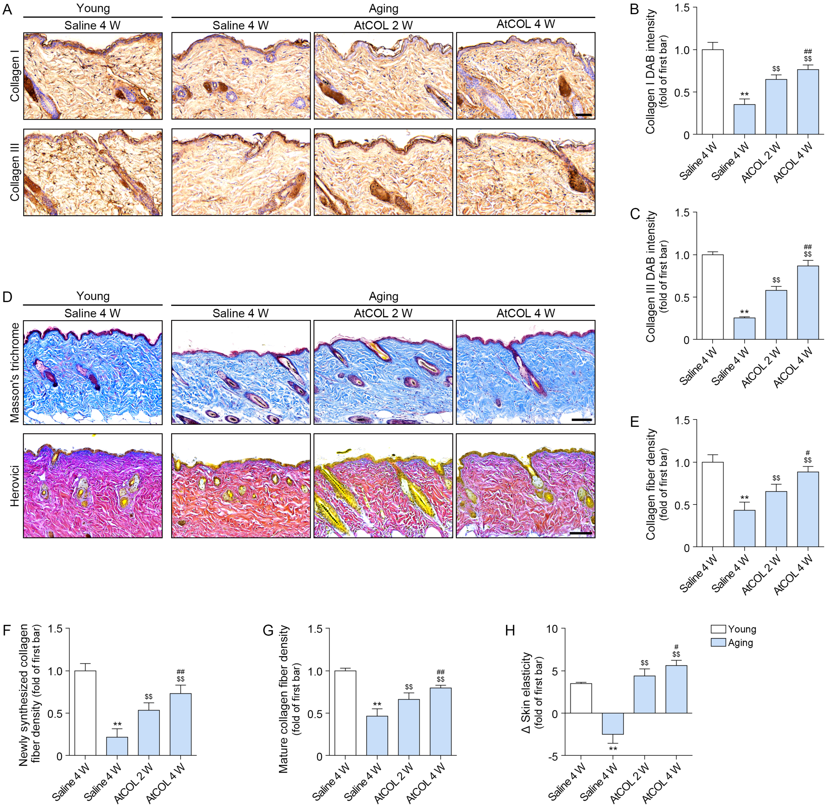 Ijms 26 11825 g005 Ijms 26 11825 g005