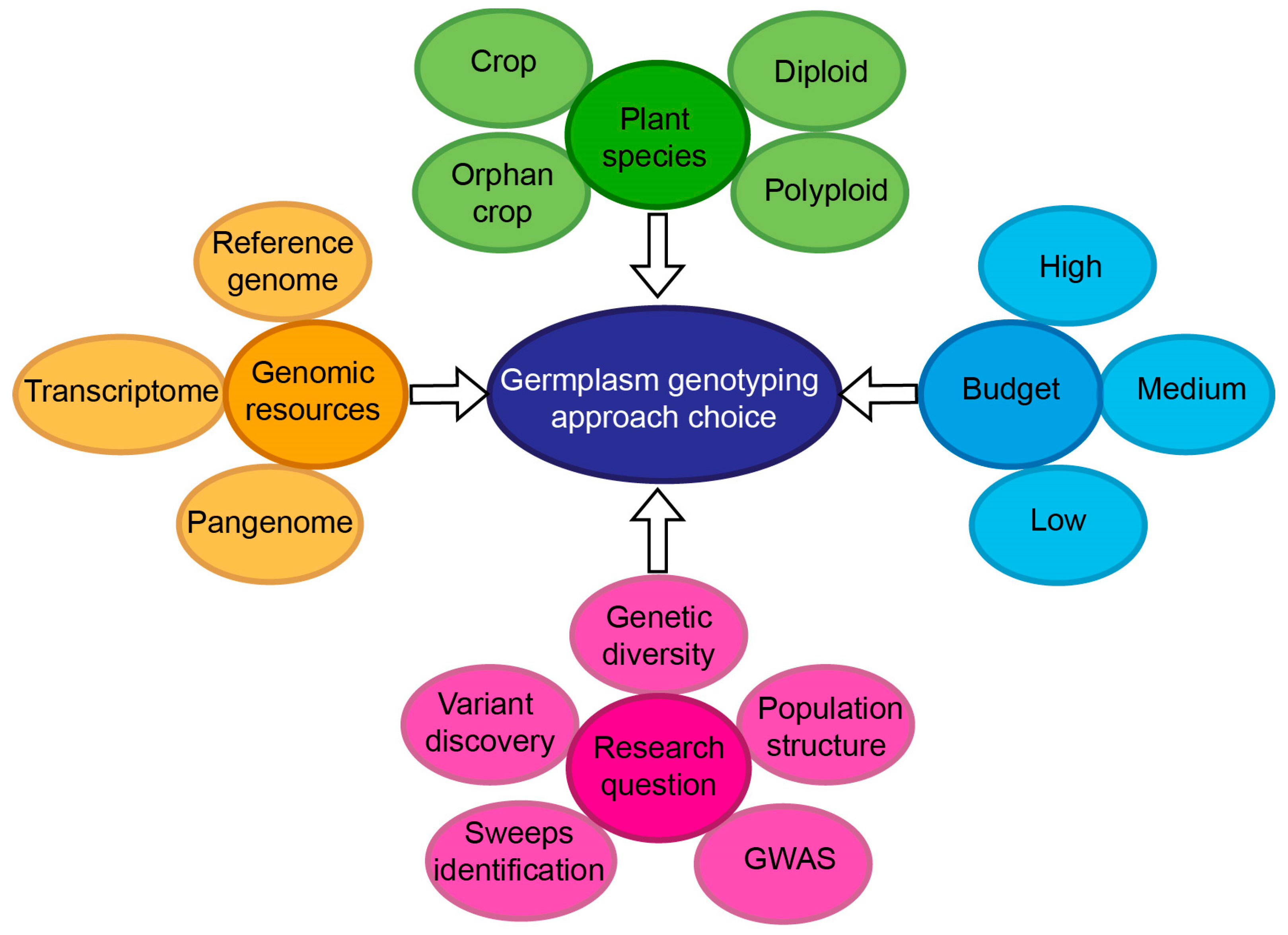 Ijms 26 11833 g001 Ijms 26 11833 g001