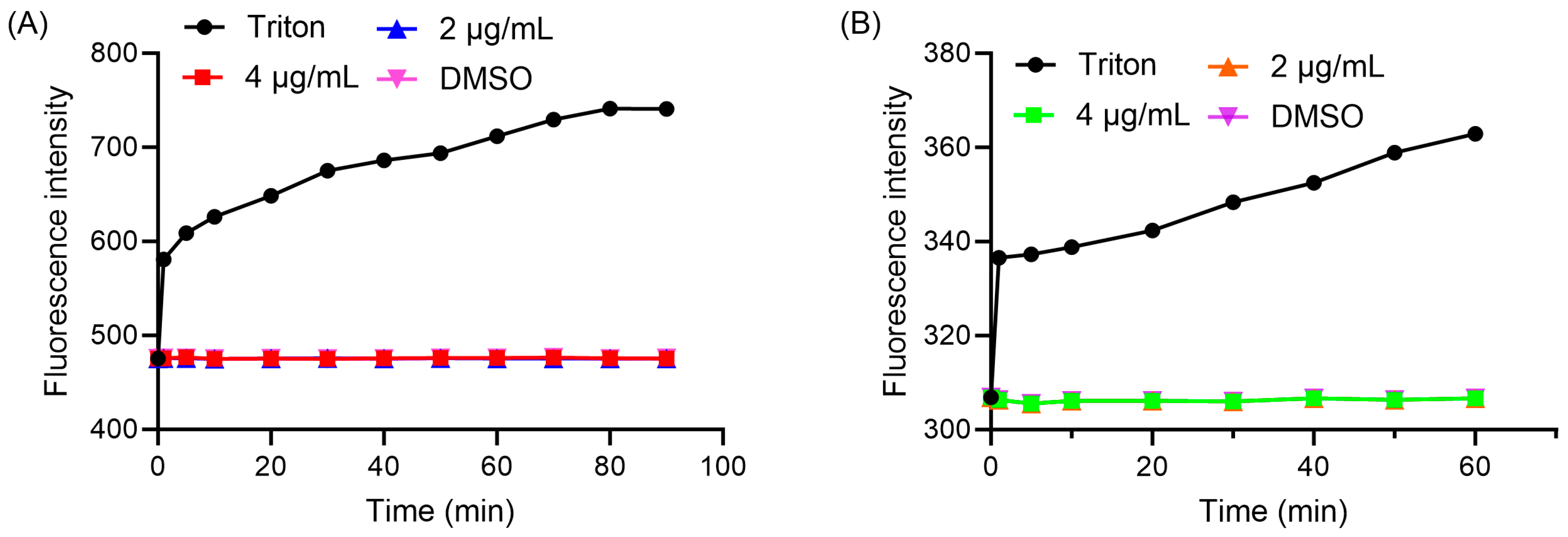 Ijms 26 11836 g008 Ijms 26 11836 g008