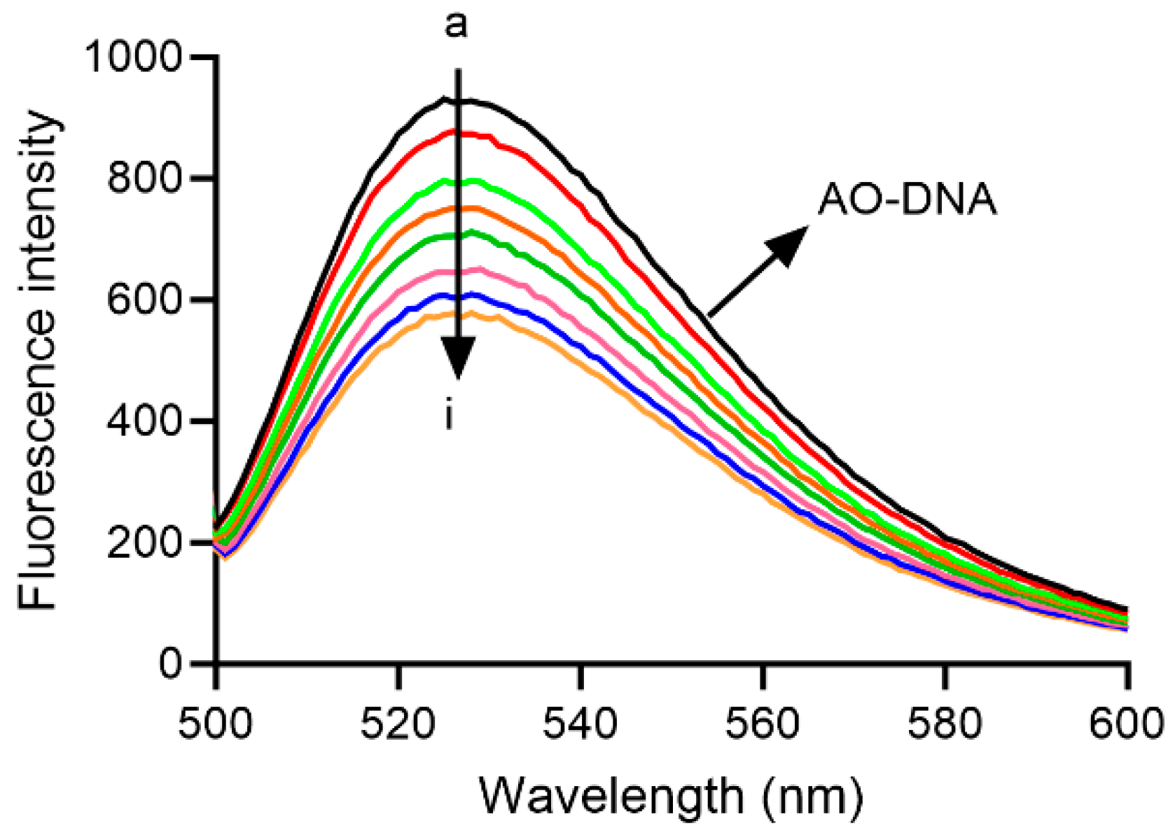 Ijms 26 11836 g011 Ijms 26 11836 g011
