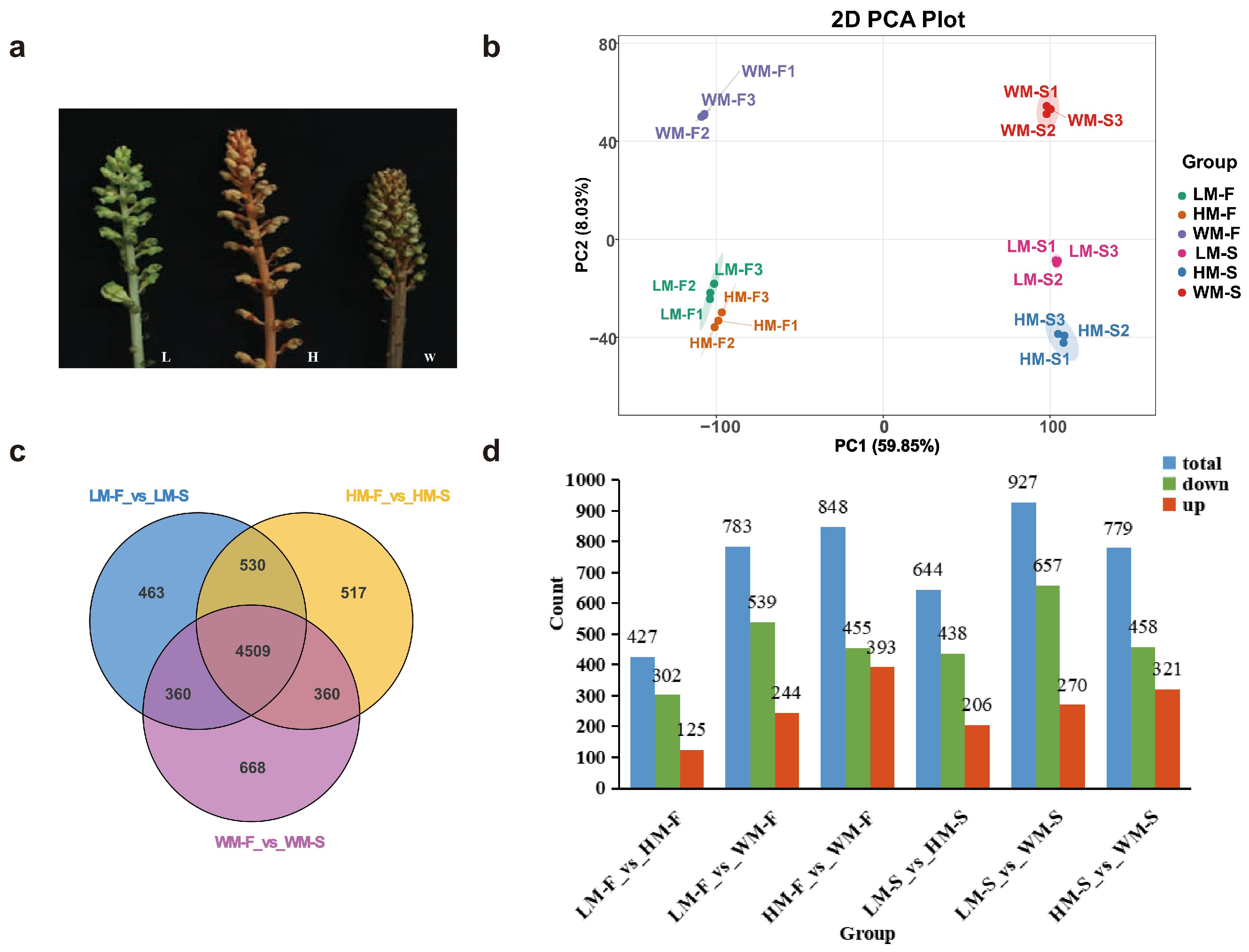 Ijms 26 11839 g001 Ijms 26 11839 g001