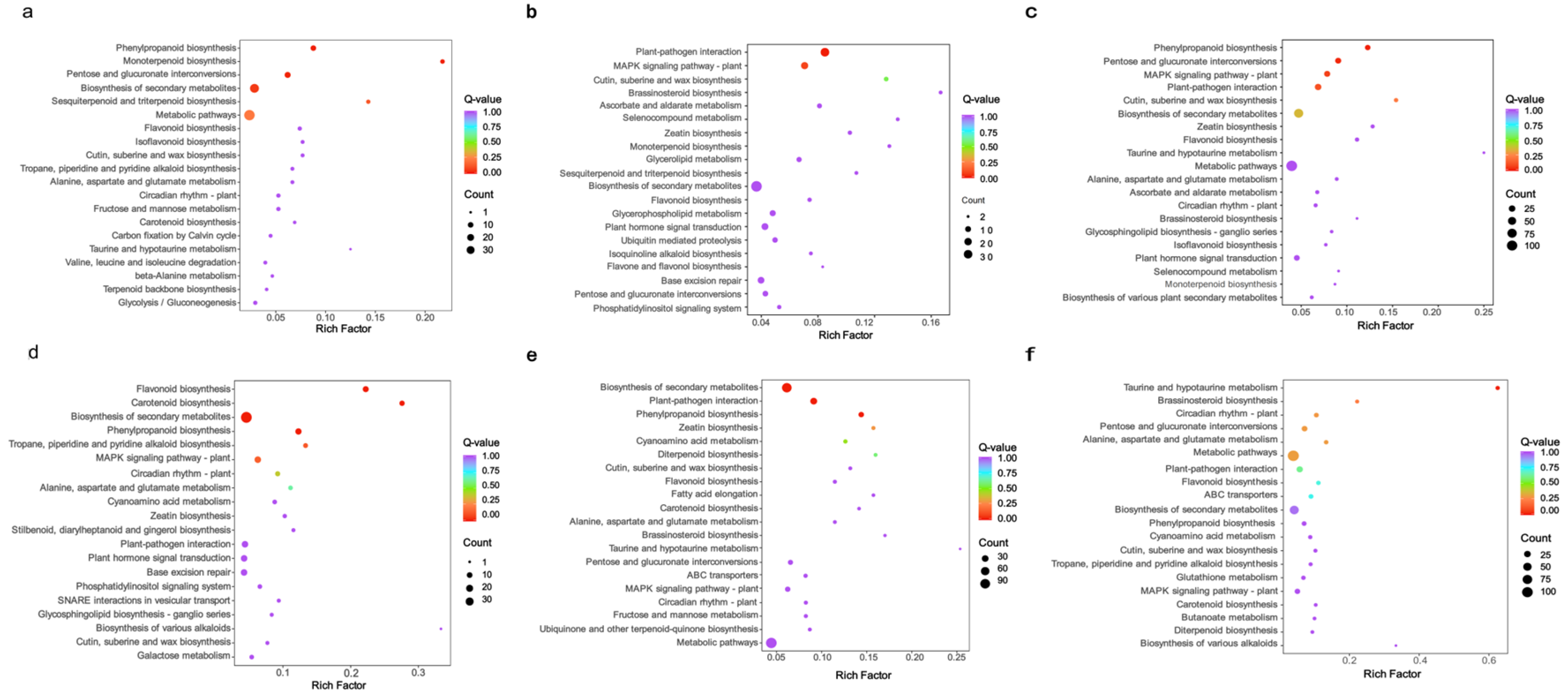 Ijms 26 11839 g002 Ijms 26 11839 g002