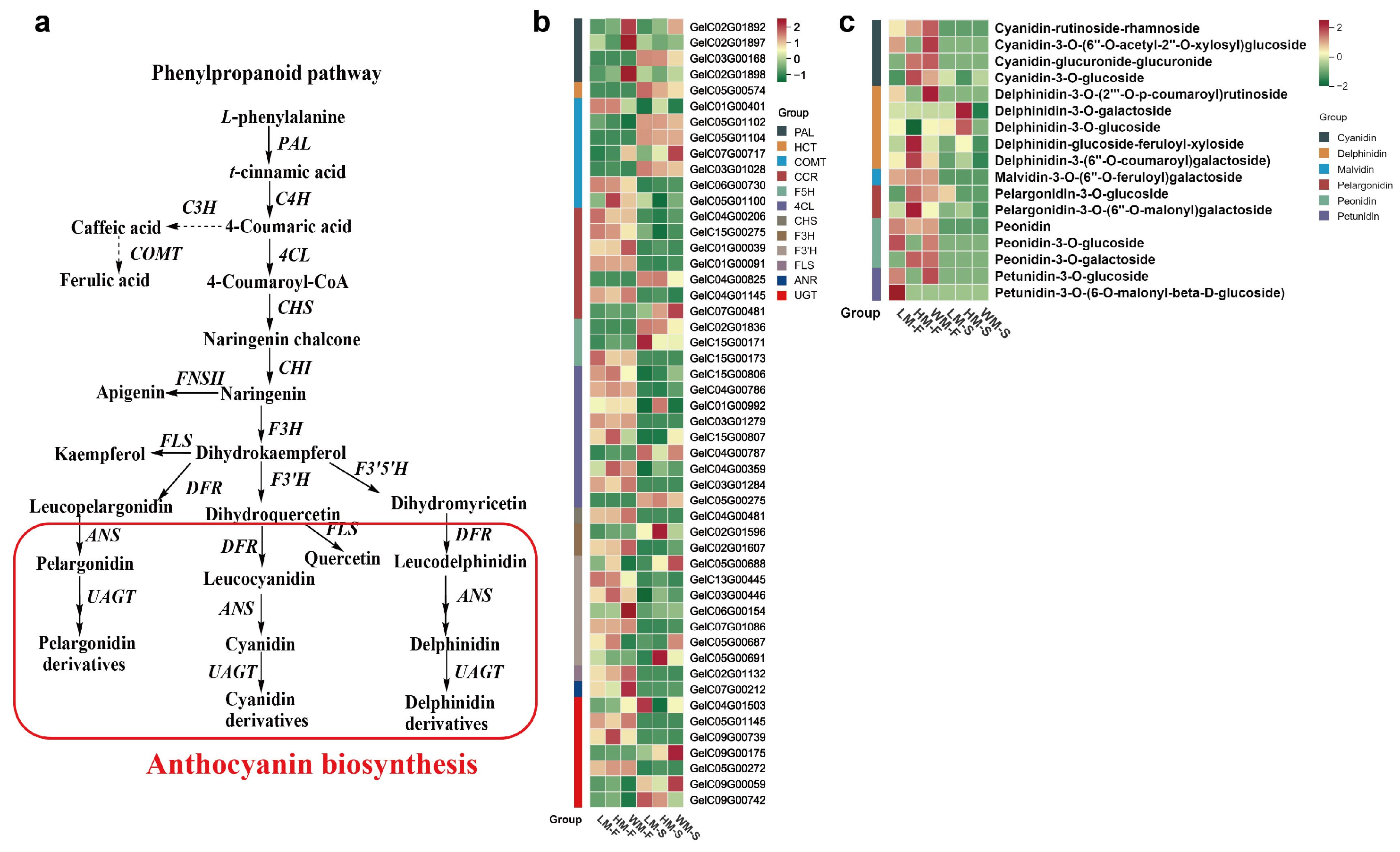 Ijms 26 11839 g003 Ijms 26 11839 g003
