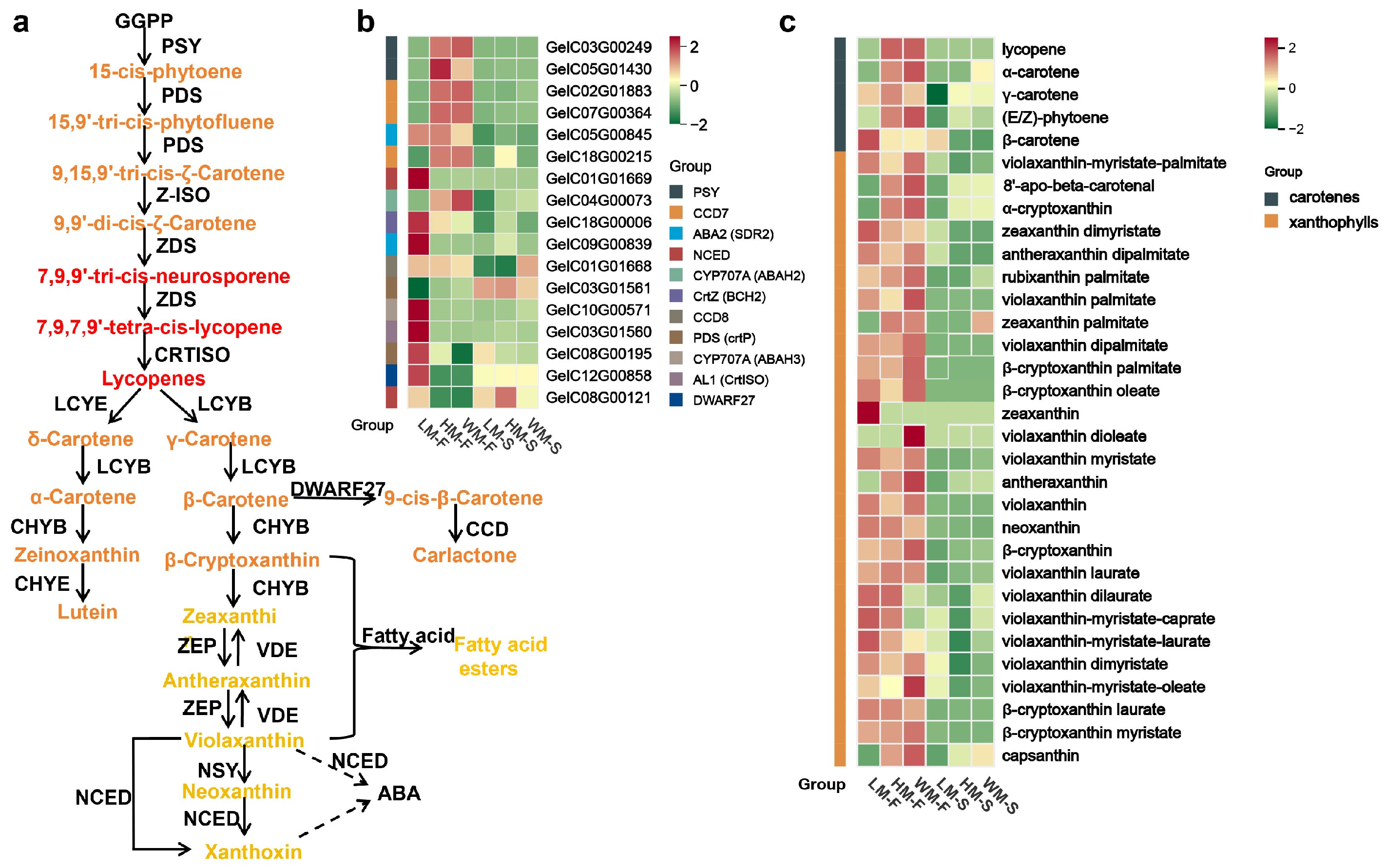 Ijms 26 11839 g004 Ijms 26 11839 g004