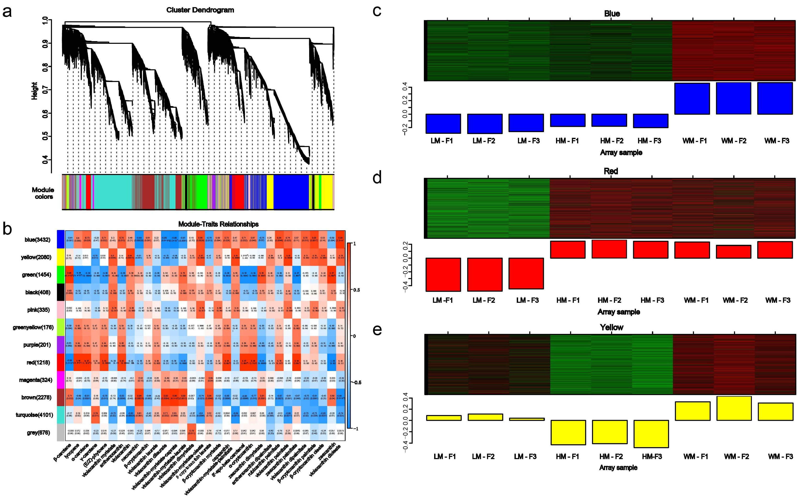 Ijms 26 11839 g005 Ijms 26 11839 g005