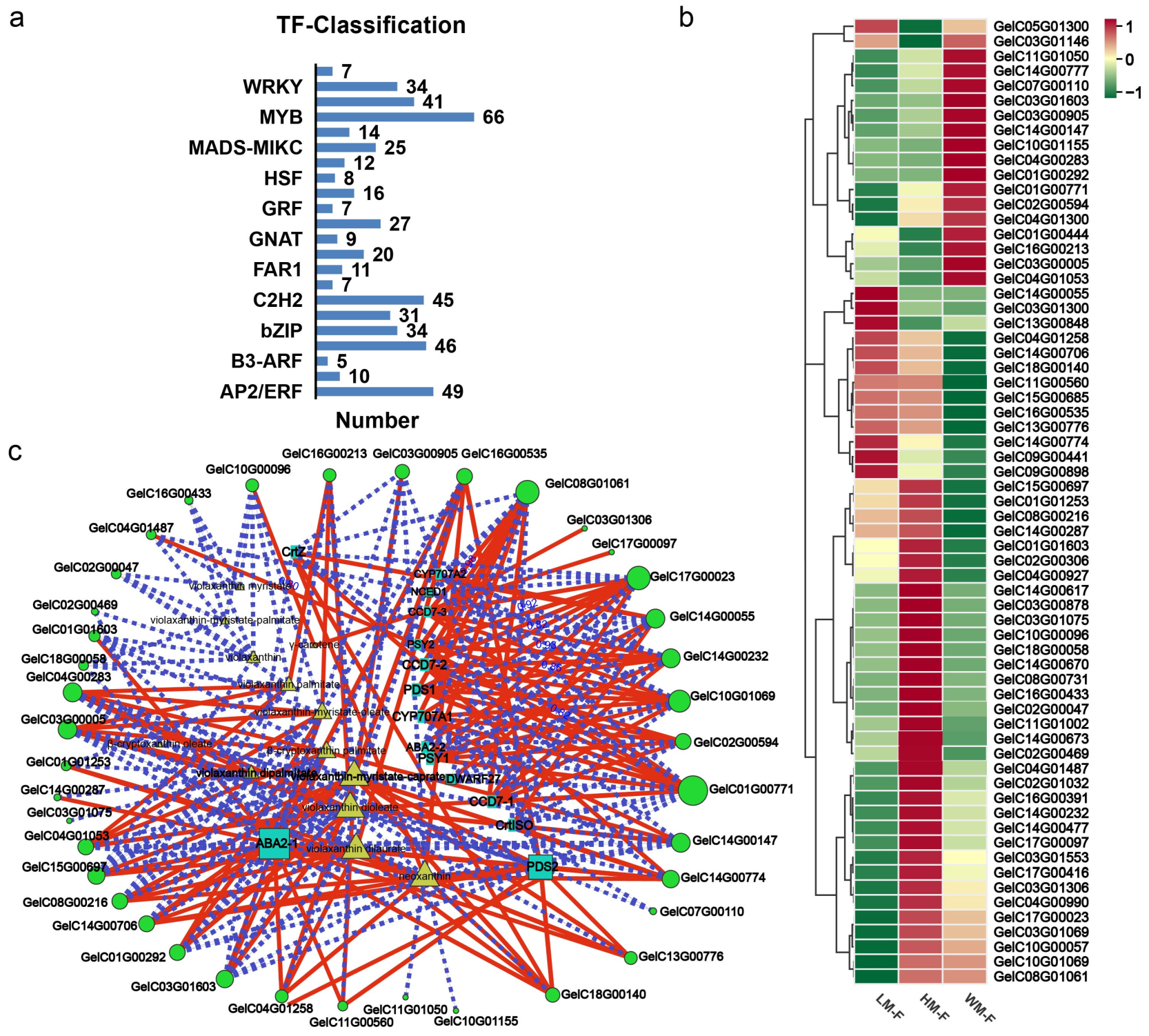 Ijms 26 11839 g006 Ijms 26 11839 g006