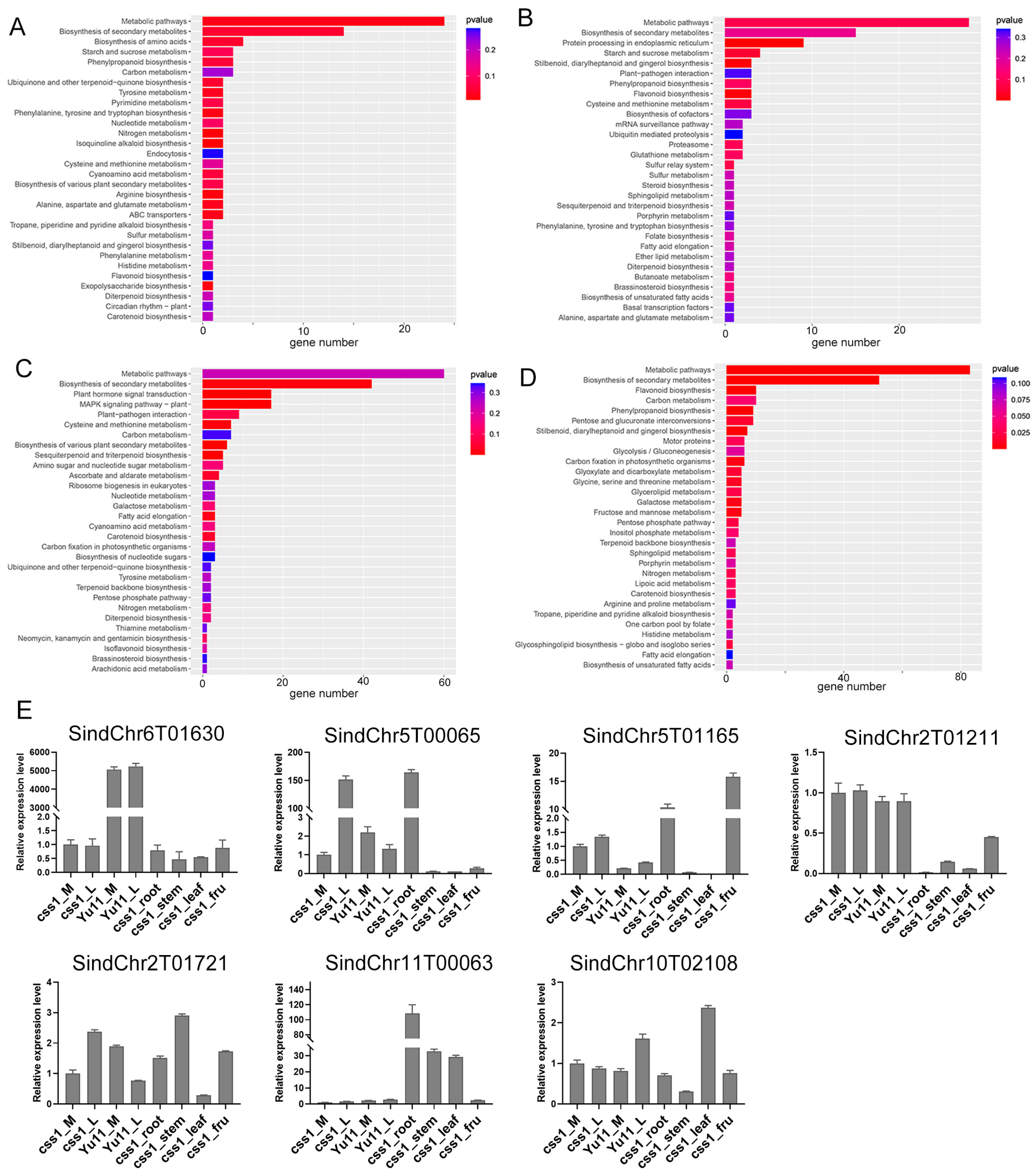 Ijms 26 11841 g002 Ijms 26 11841 g002