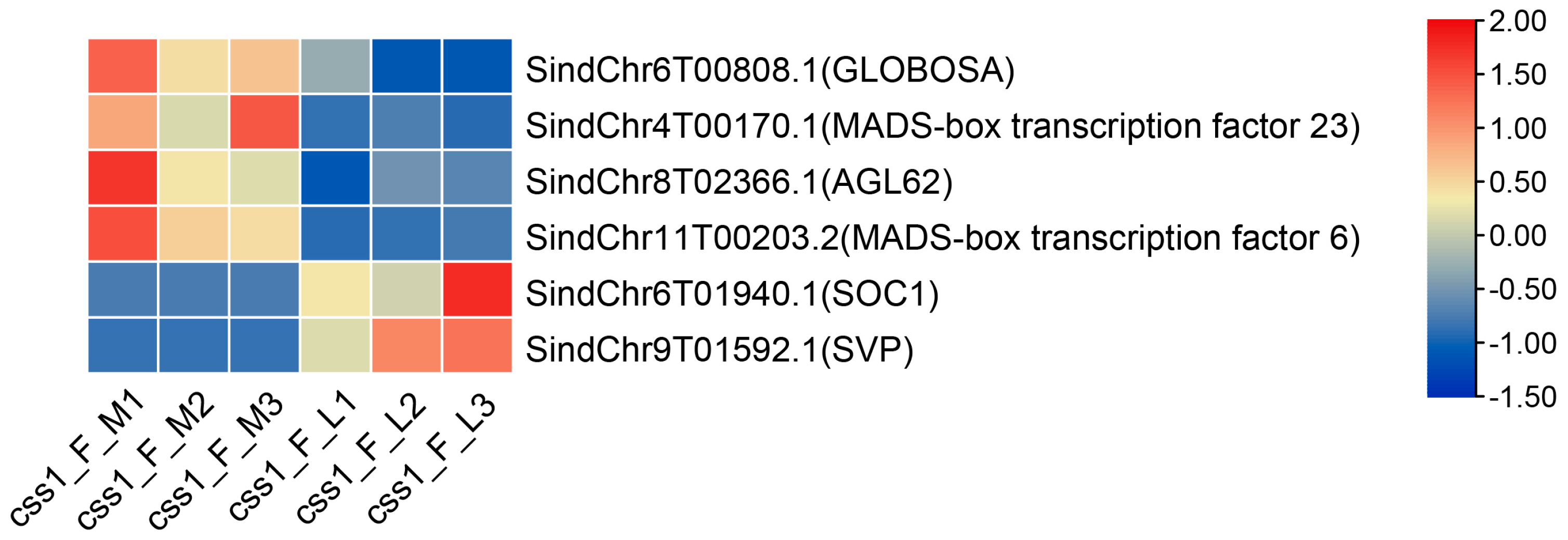 Ijms 26 11841 g003 Ijms 26 11841 g003