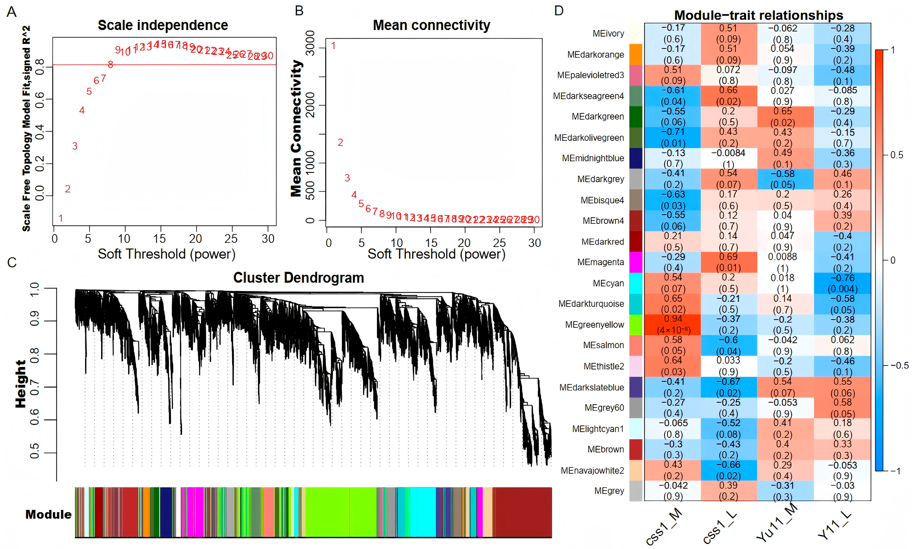 Ijms 26 11841 g004 Ijms 26 11841 g004