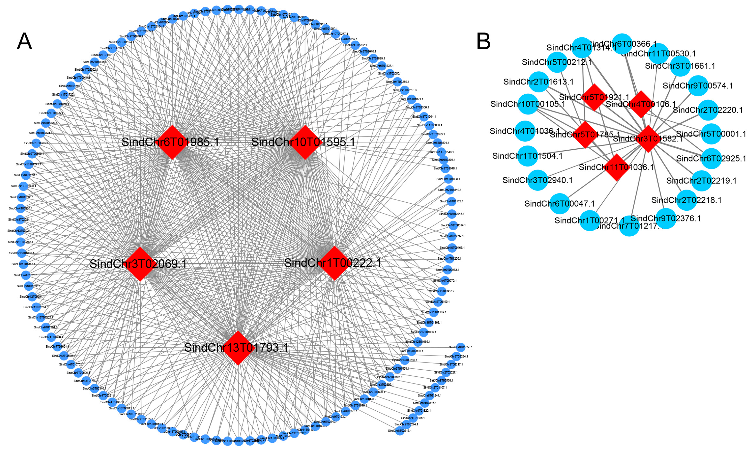 Ijms 26 11841 g005 Ijms 26 11841 g005