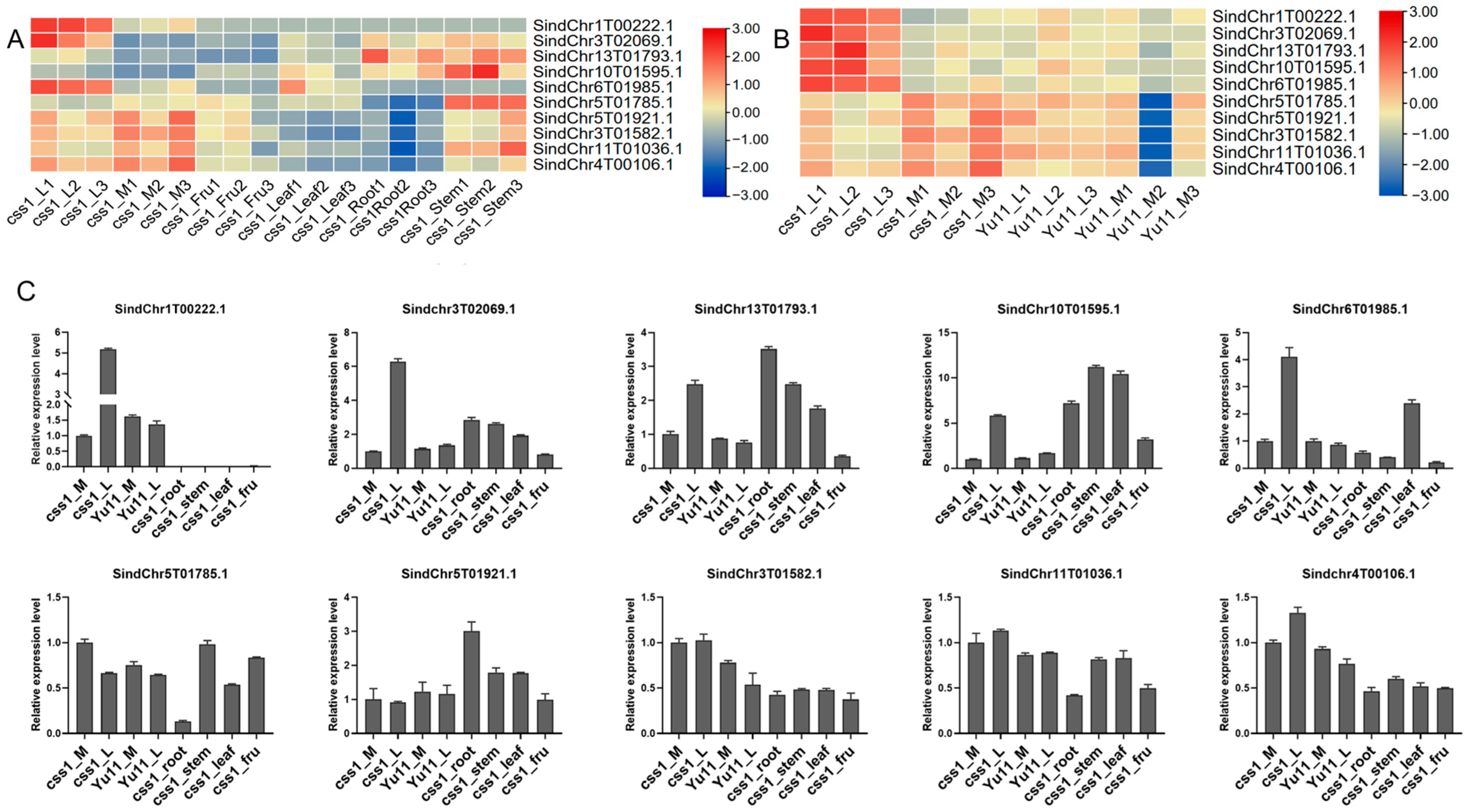 Ijms 26 11841 g006 Ijms 26 11841 g006
