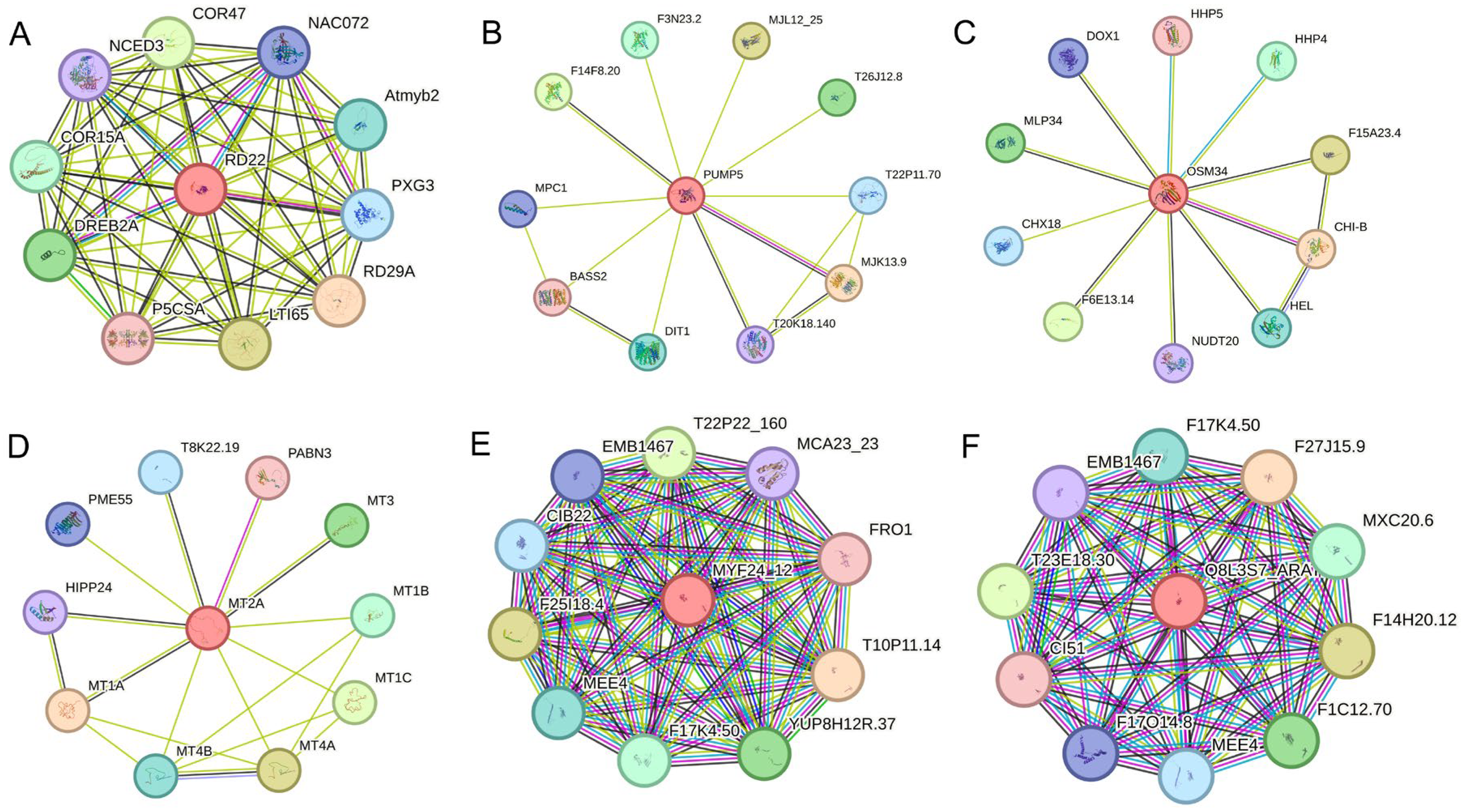 Ijms 26 11841 g007 Ijms 26 11841 g007