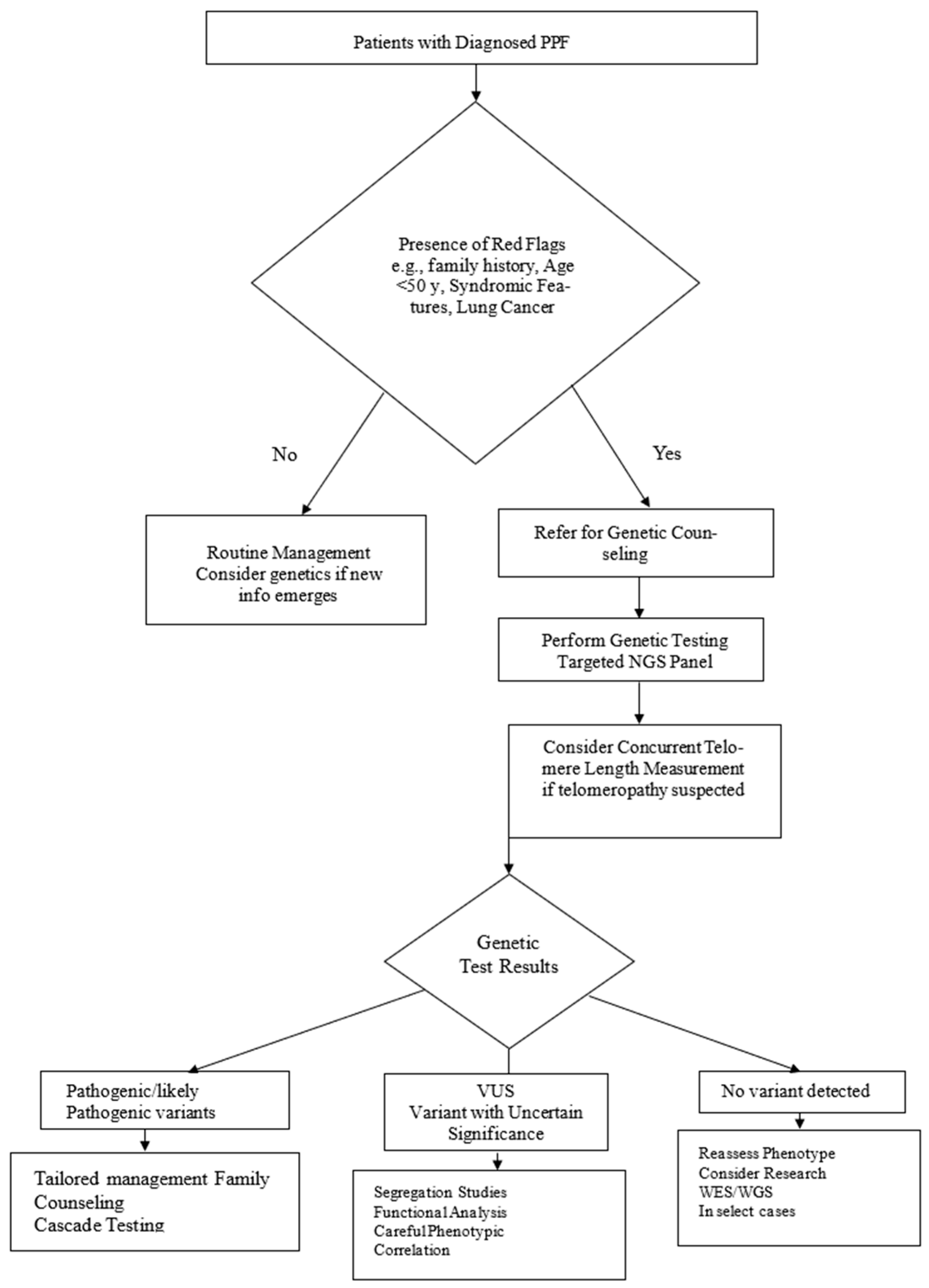 Ijms 26 11846 g001 Ijms 26 11846 g001