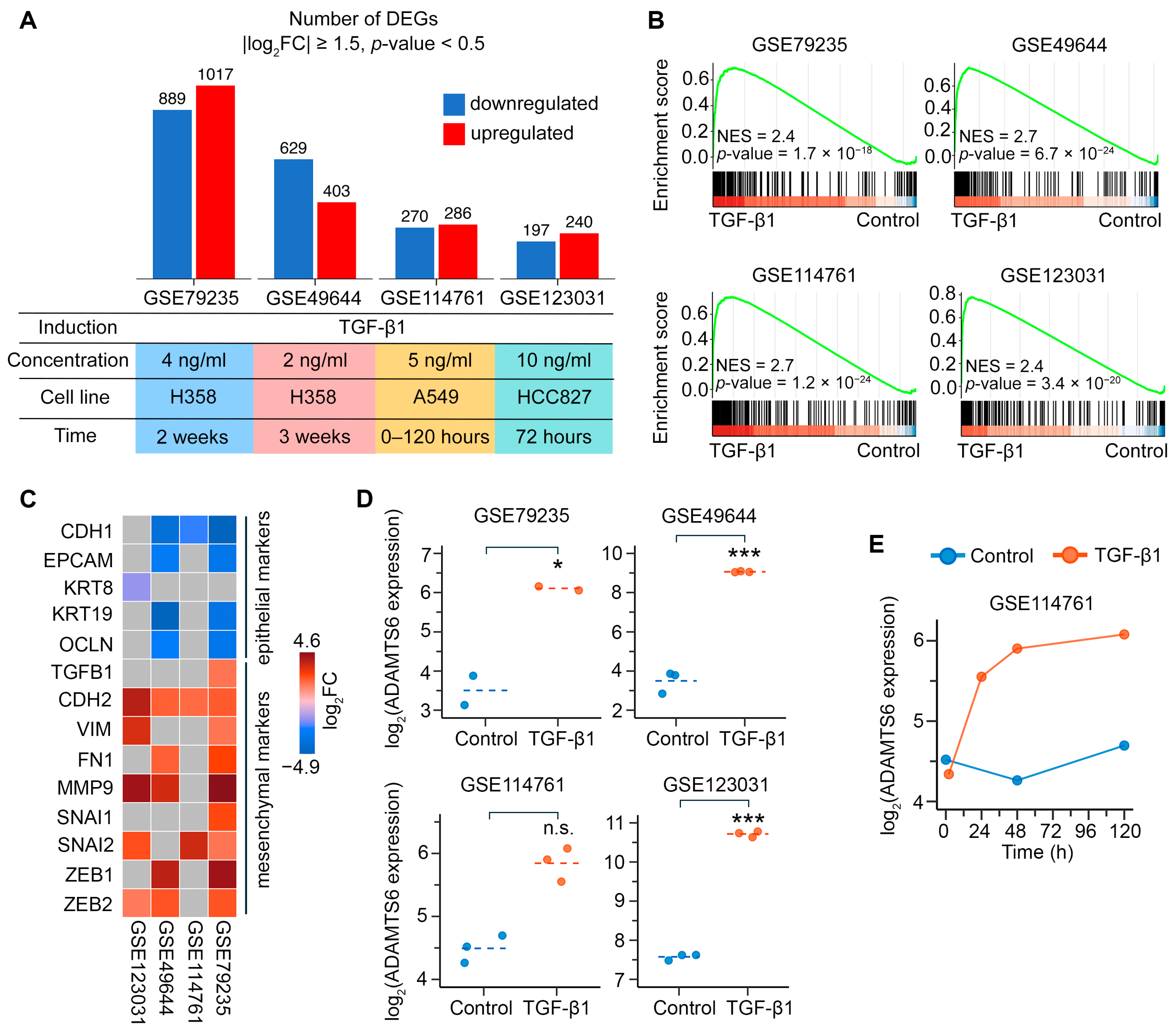 Ijms 26 11850 g001 Ijms 26 11850 g001