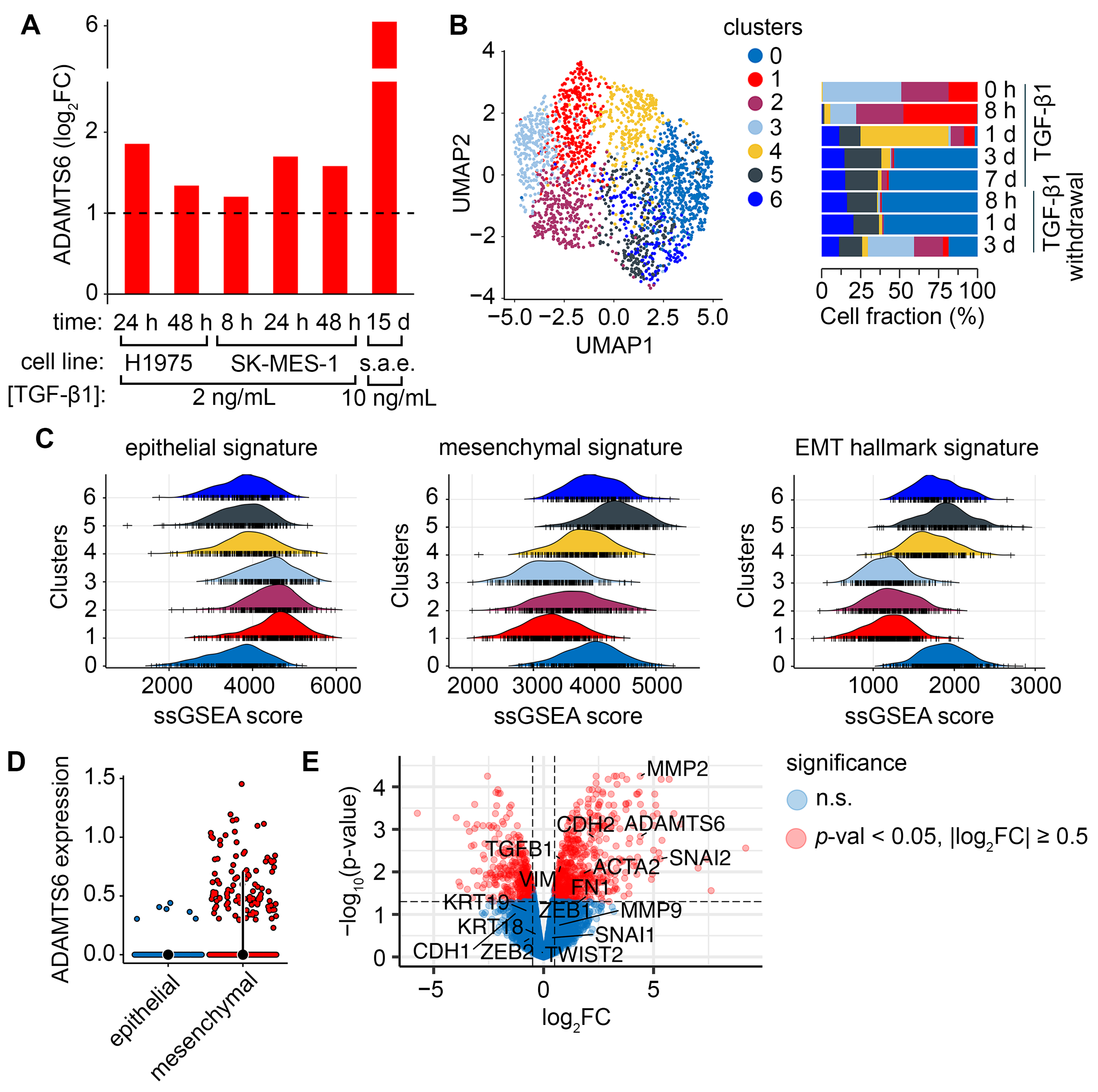 Ijms 26 11850 g003 Ijms 26 11850 g003