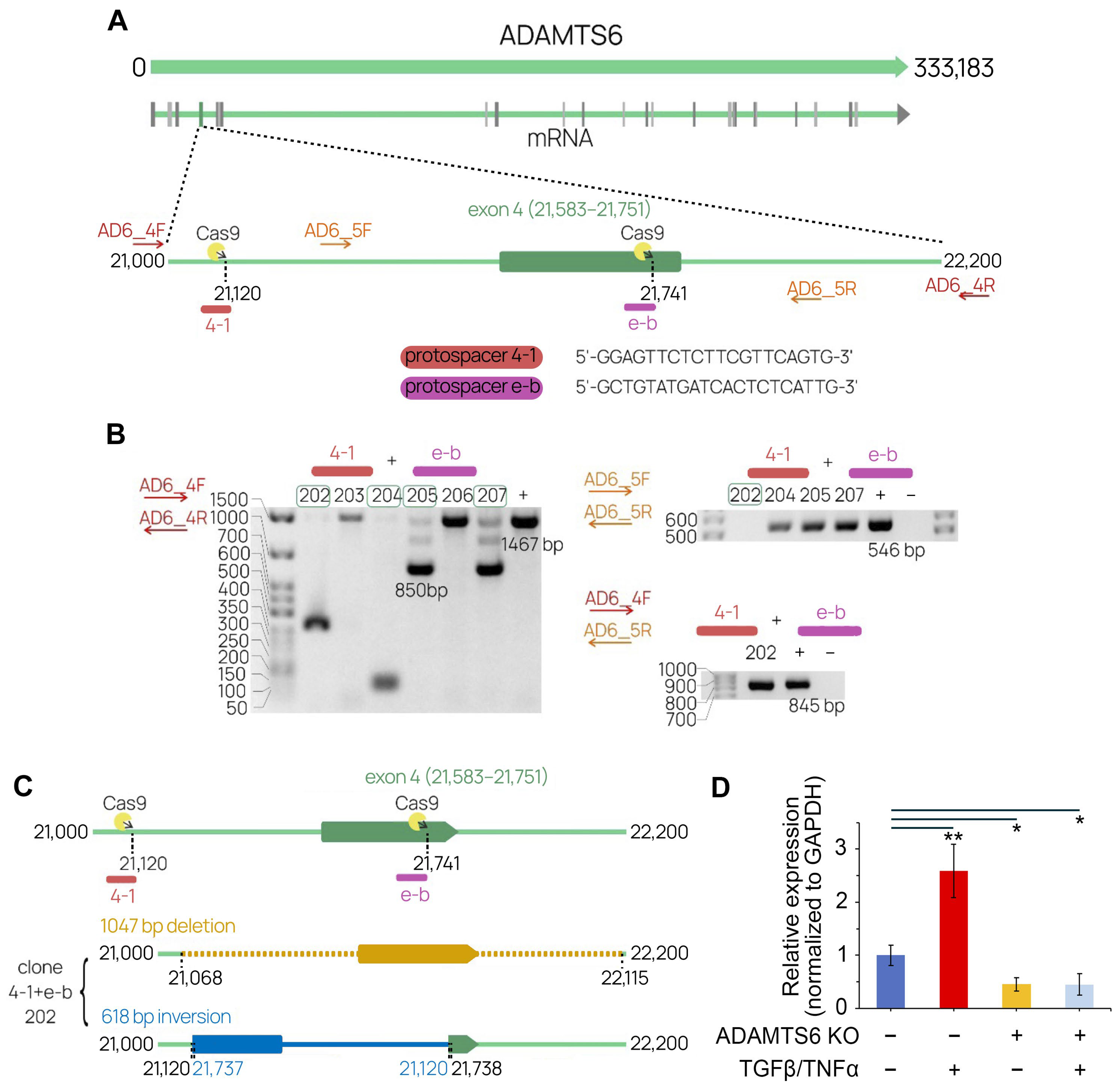 Ijms 26 11850 g005 Ijms 26 11850 g005