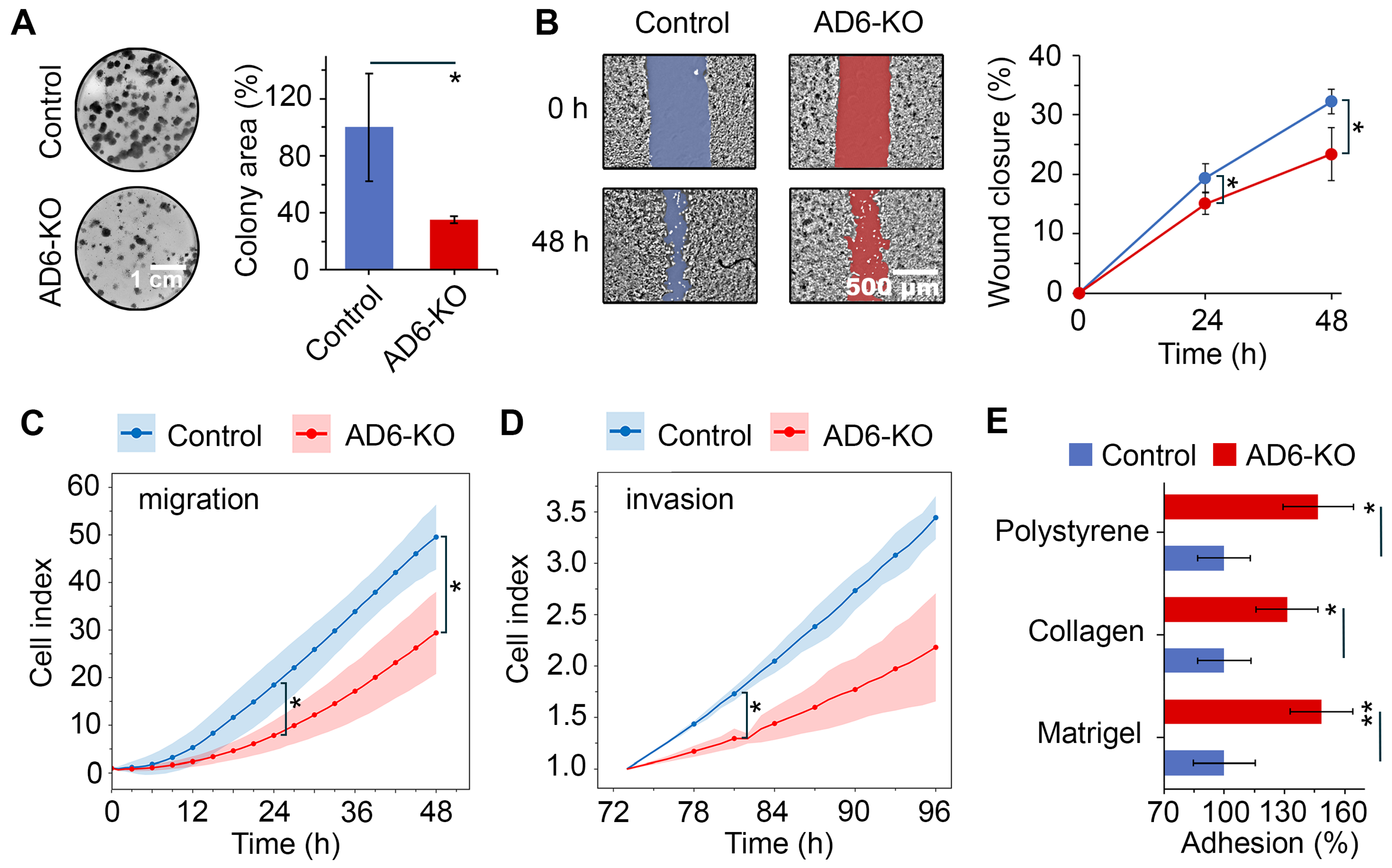 Ijms 26 11850 g006 Ijms 26 11850 g006