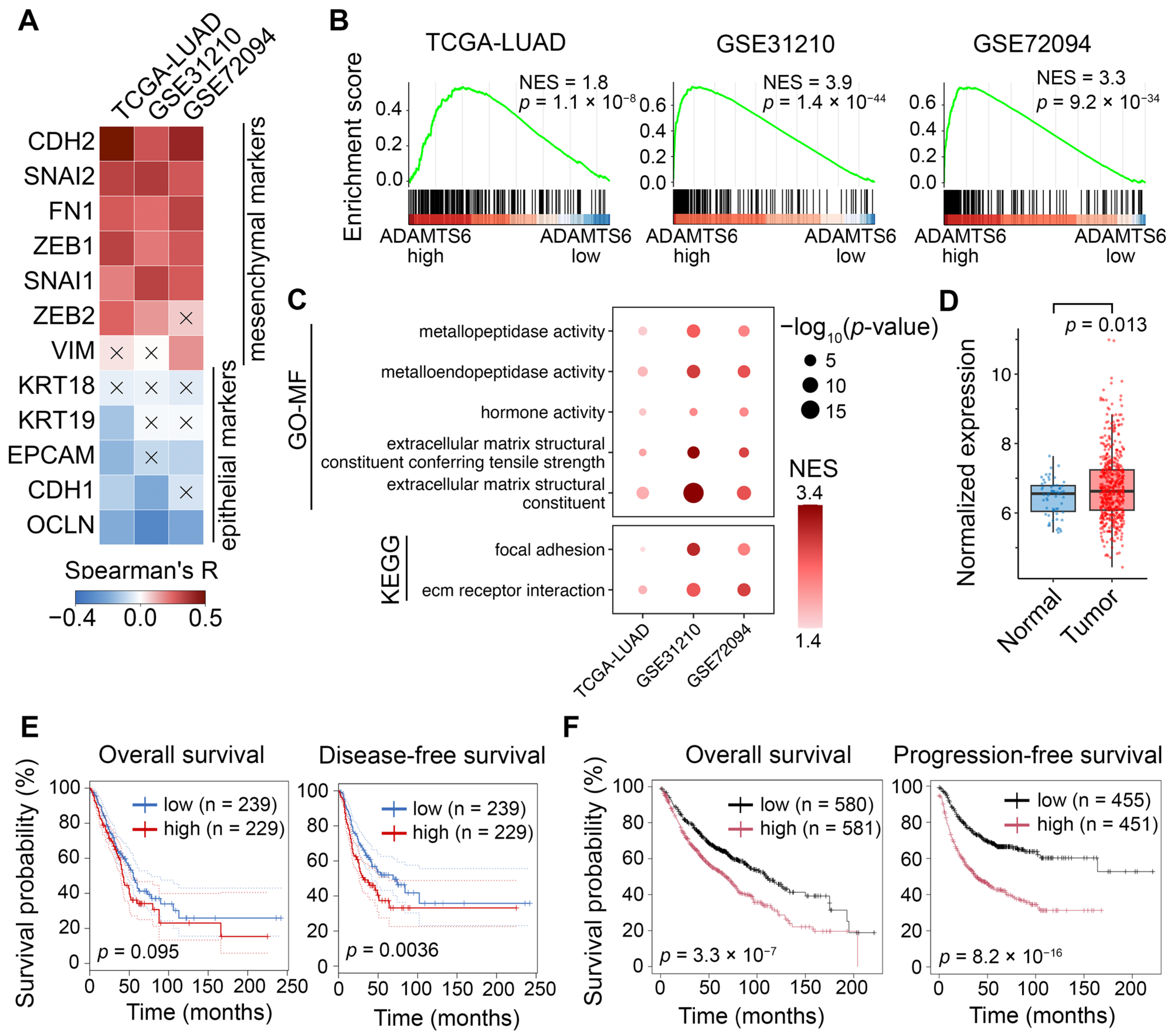 Ijms 26 11850 g008 Ijms 26 11850 g008