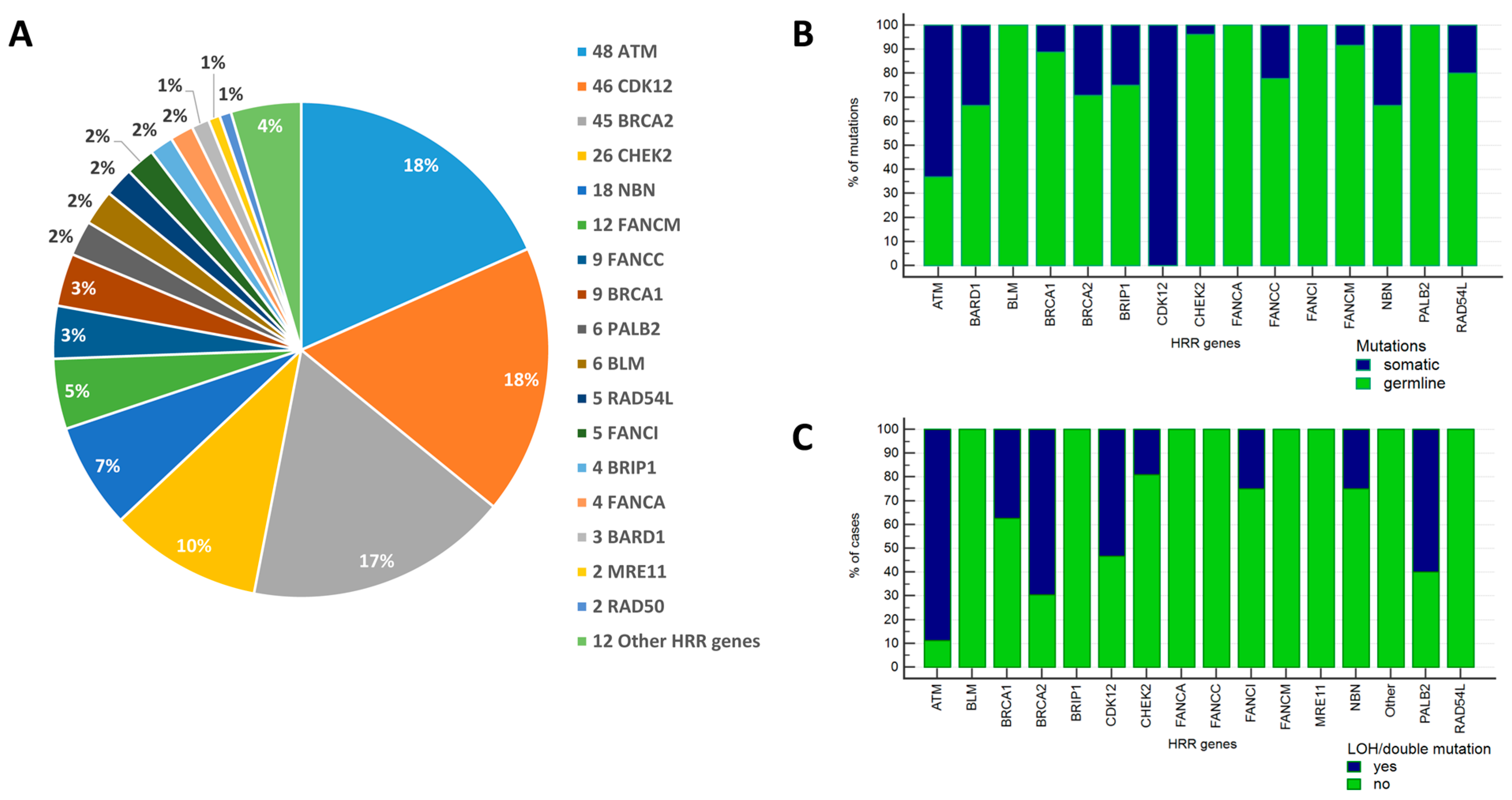 Ijms 26 11851 g001 Ijms 26 11851 g001
