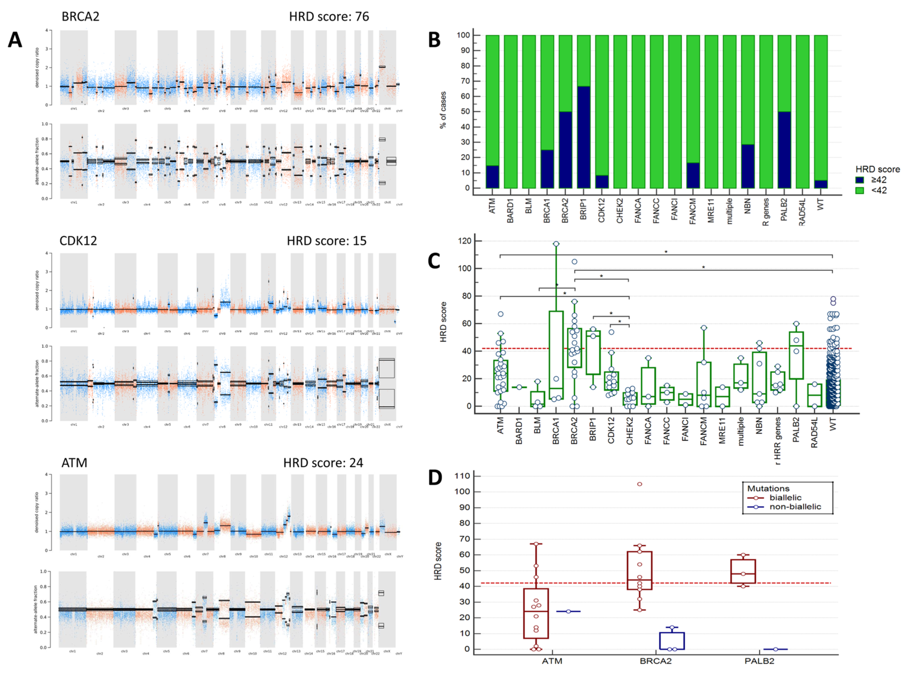 Ijms 26 11851 g002 Ijms 26 11851 g002