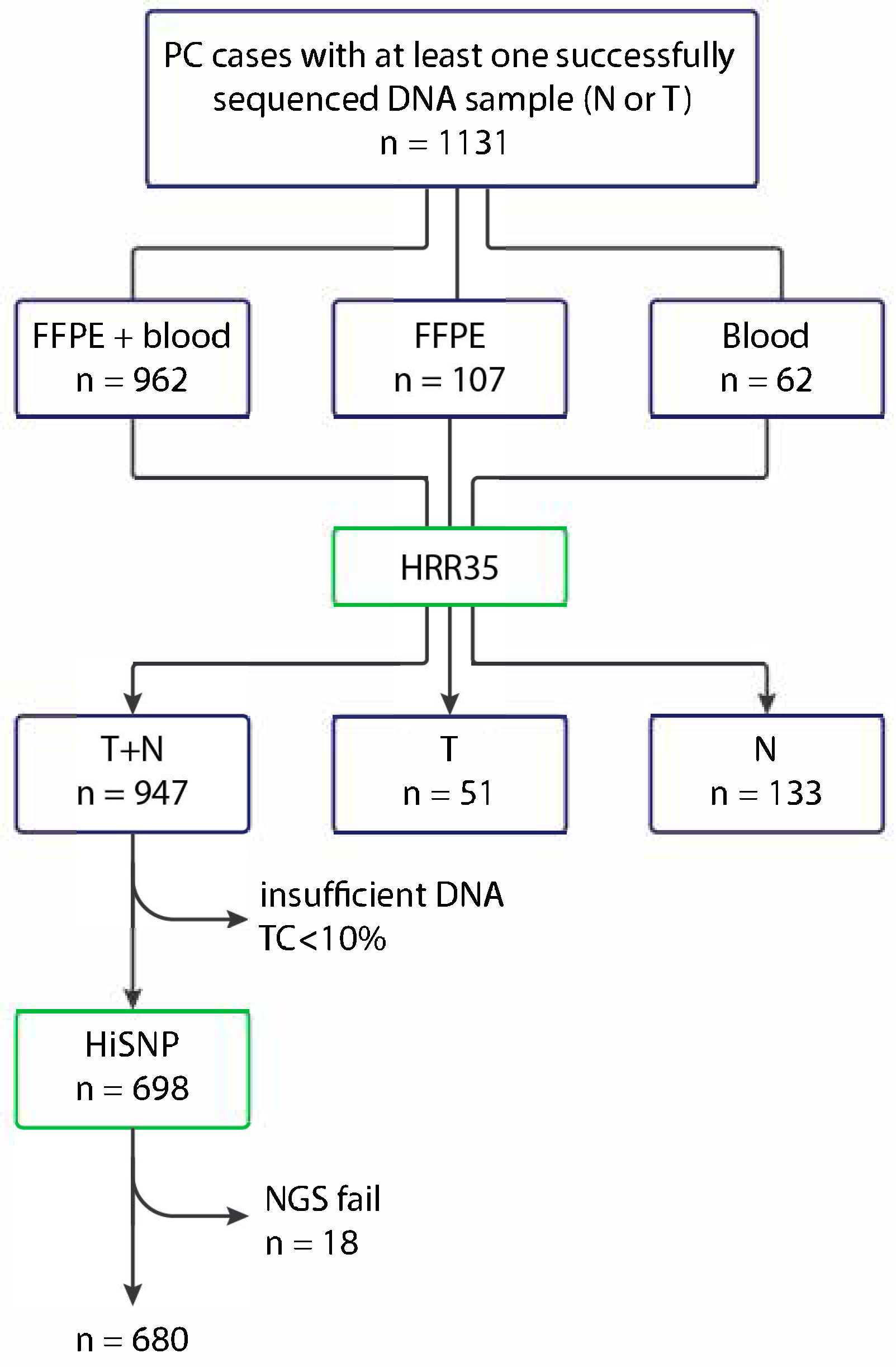Ijms 26 11851 g004 Ijms 26 11851 g004
