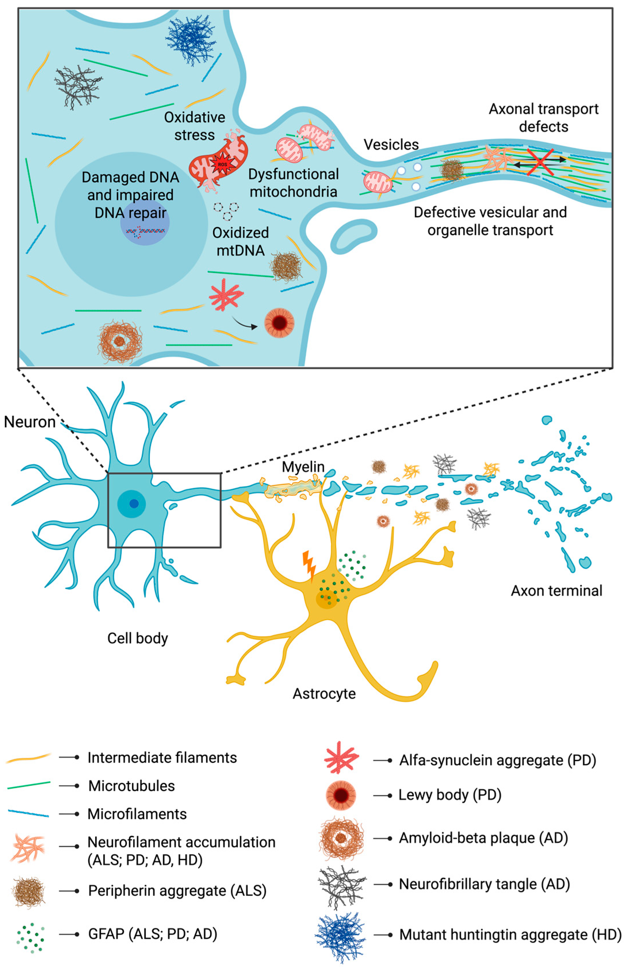 Ijms 26 11852 g002 Ijms 26 11852 g002