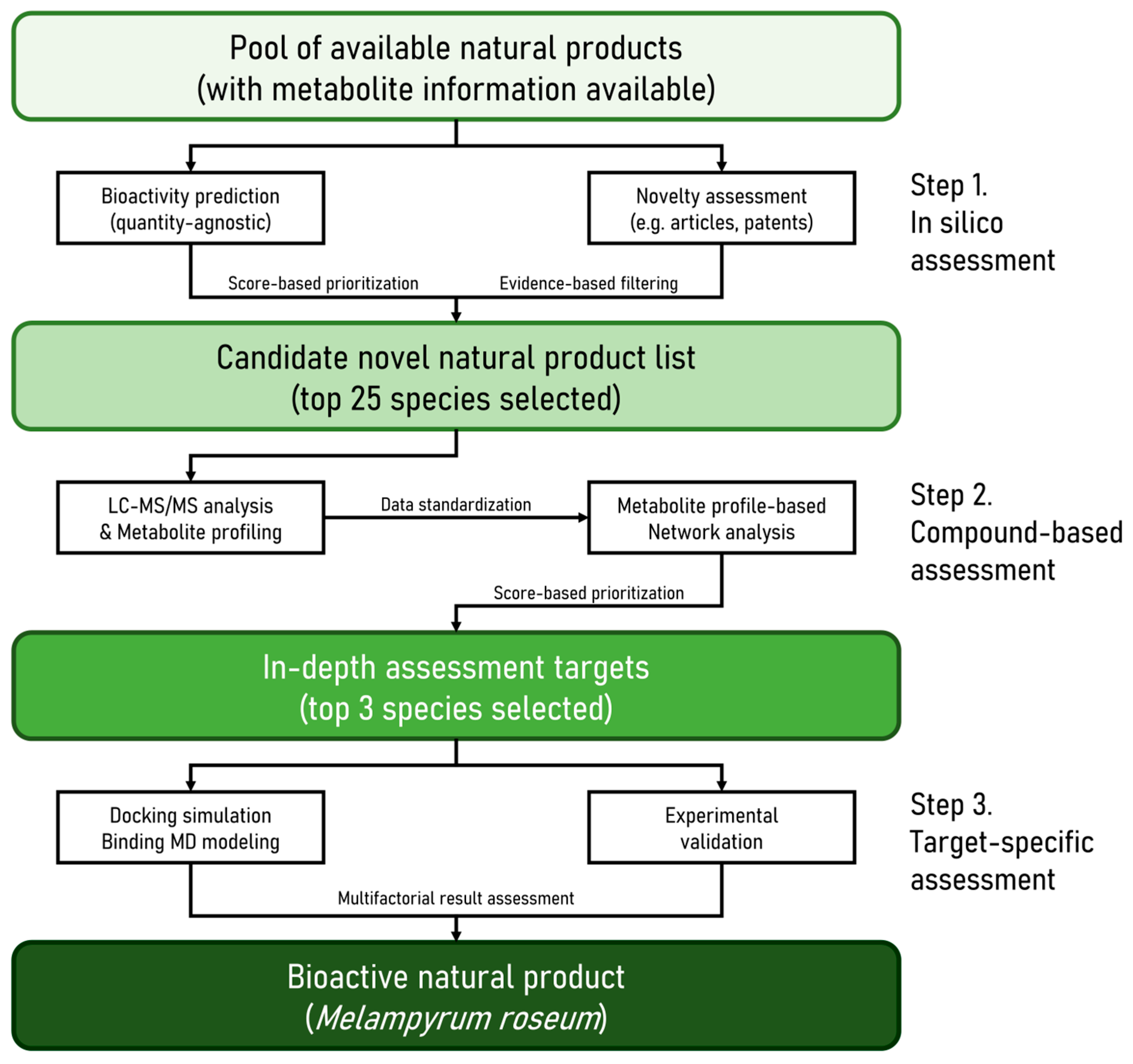 Ijms 26 11853 g002 Ijms 26 11853 g002