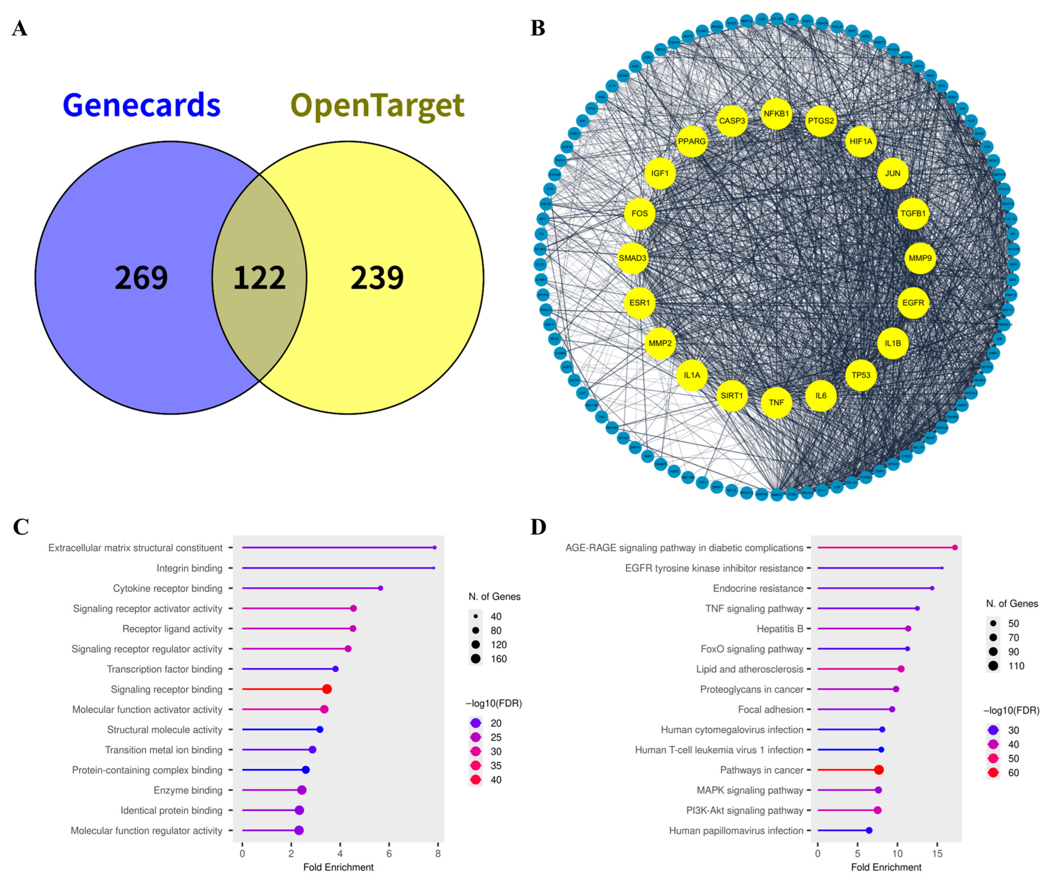 Ijms 26 11853 g004 Ijms 26 11853 g004