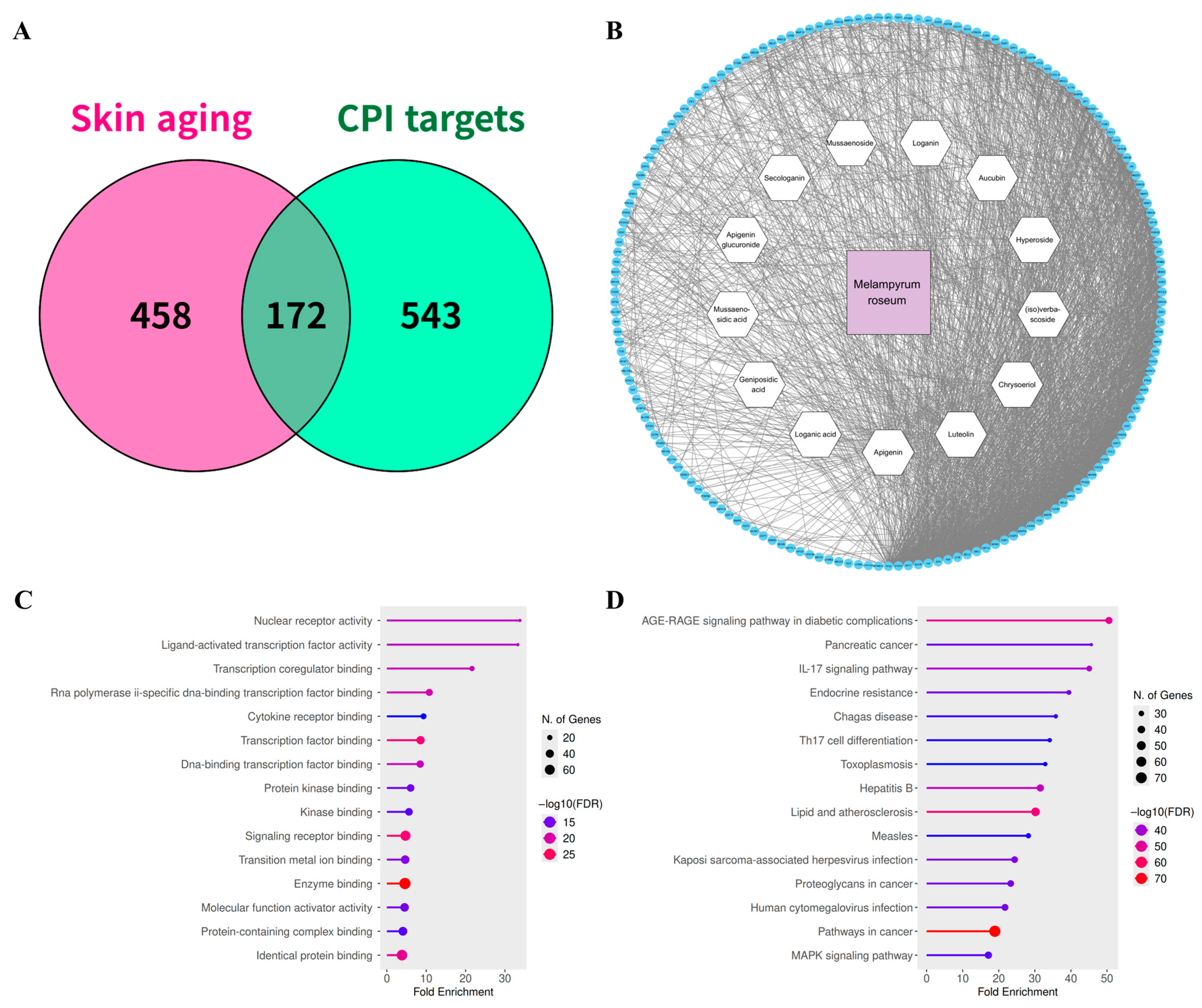 Ijms 26 11853 g005 Ijms 26 11853 g005
