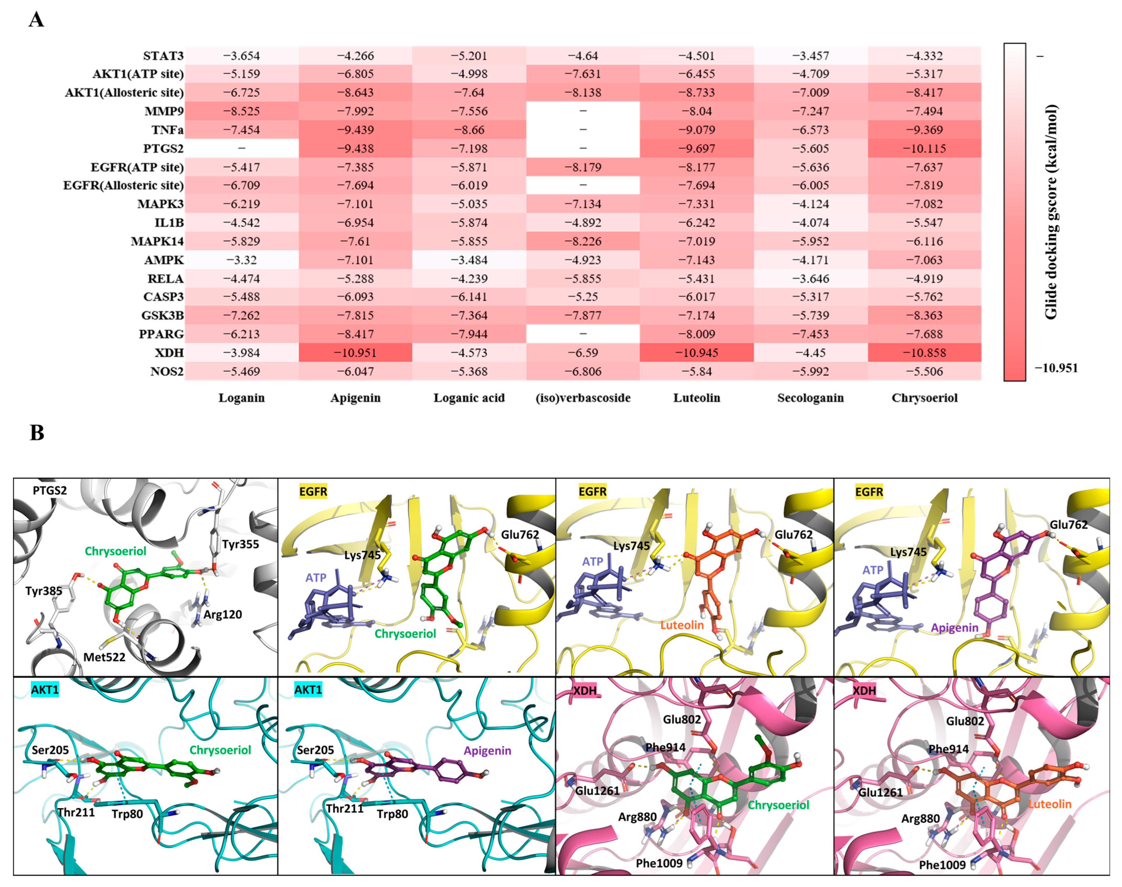 Ijms 26 11853 g006 Ijms 26 11853 g006