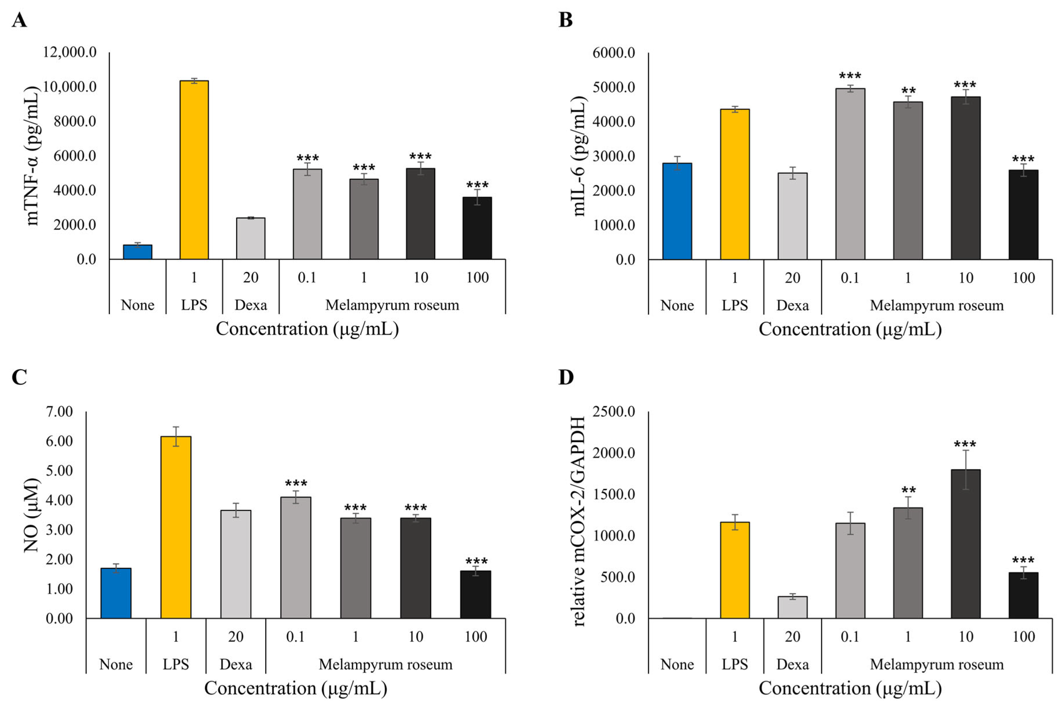 Ijms 26 11853 g009 Ijms 26 11853 g009