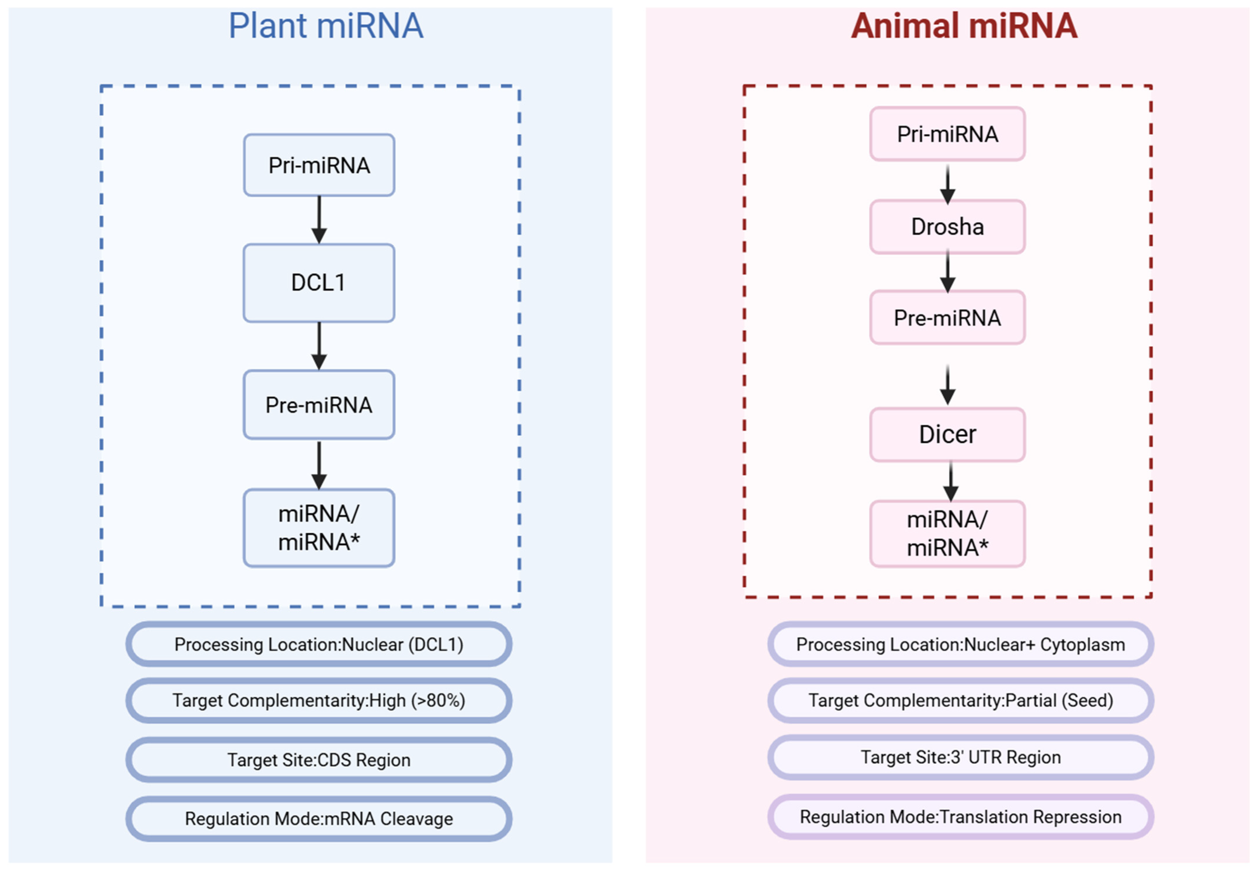 Ijms 26 11854 g001 Ijms 26 11854 g001