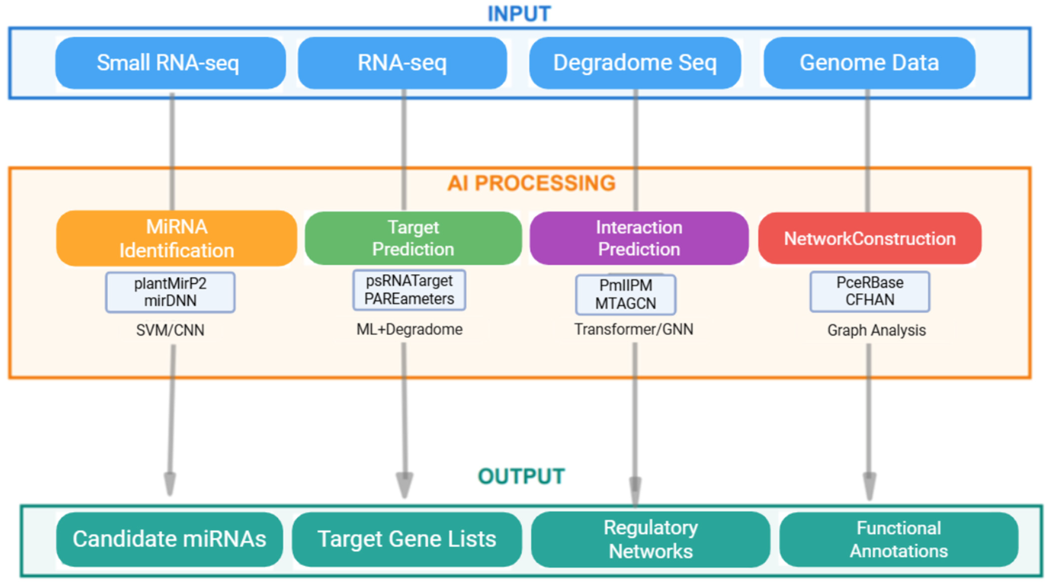 Ijms 26 11854 g002 Ijms 26 11854 g002